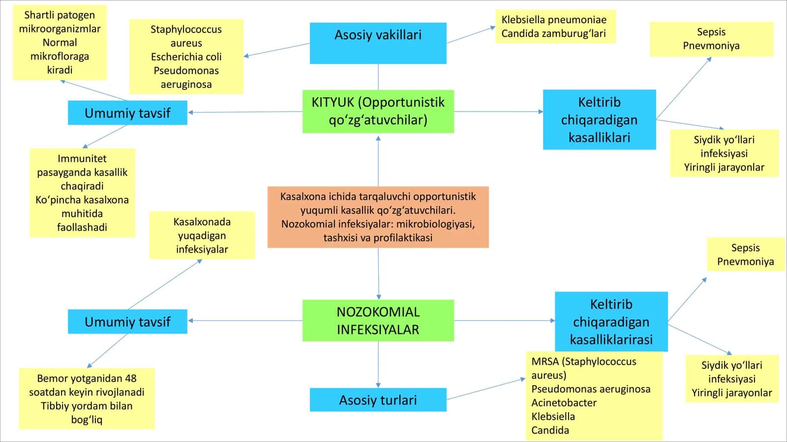 Nozokomial infeksiyalar: mikrobiologiyasi, tashxisi va profilaktikasi 1