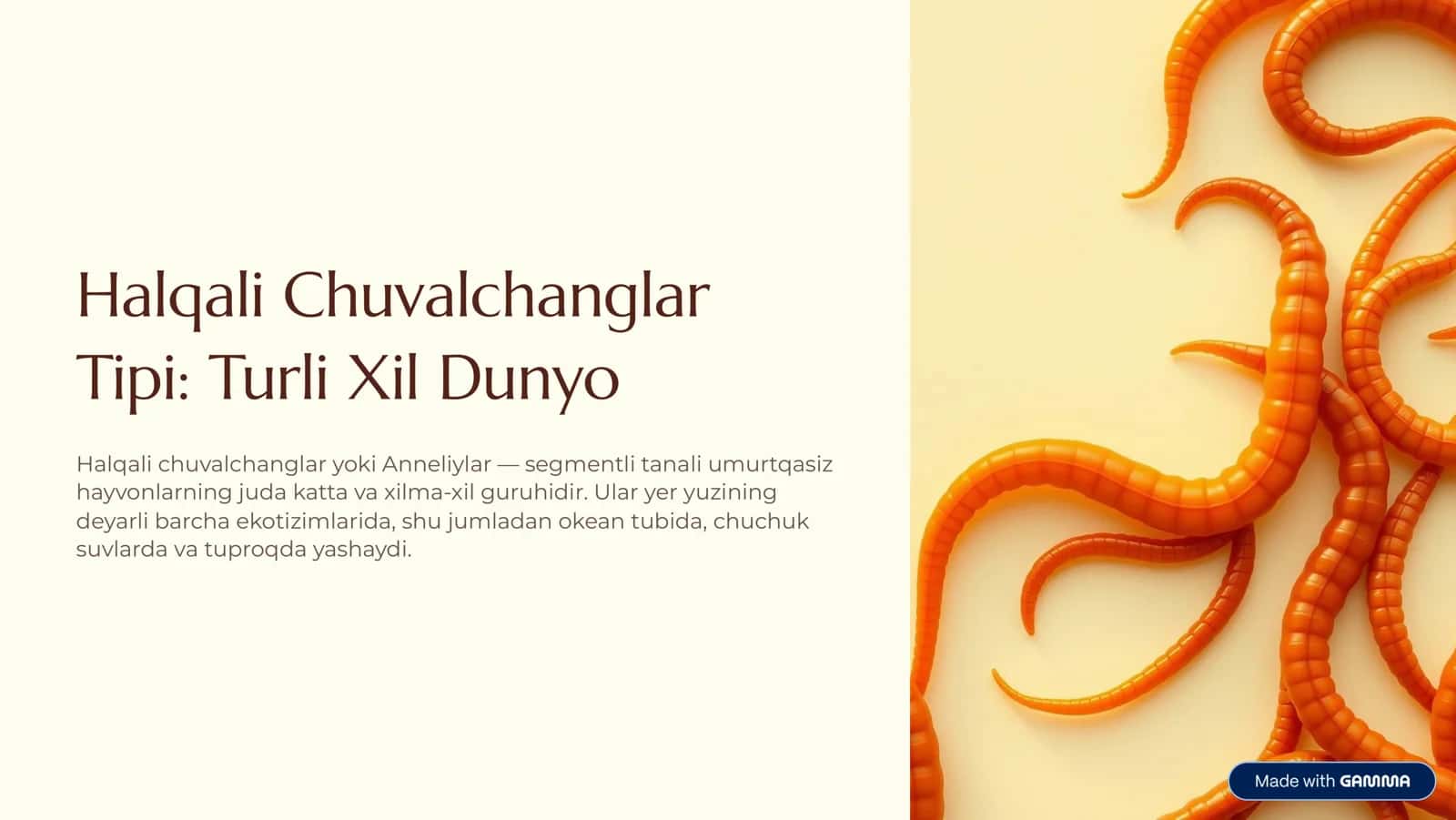 Halqali Chuvalchanglar 1