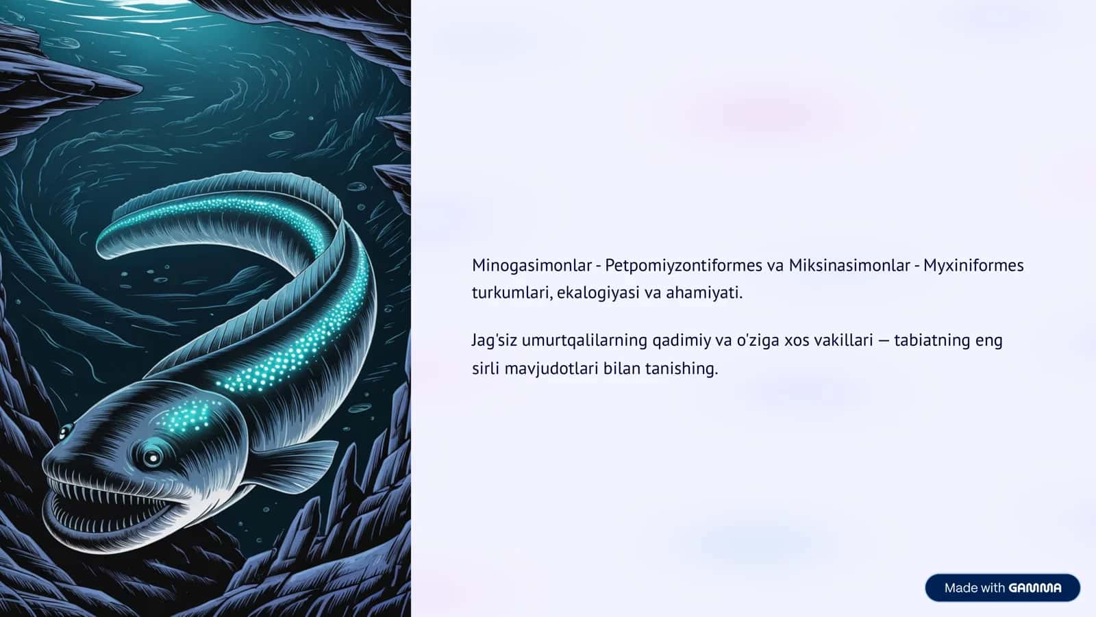 Minogasimonlar - Petpomiyzontiformes va Miksinasimonlar - Myxiniformes 1
