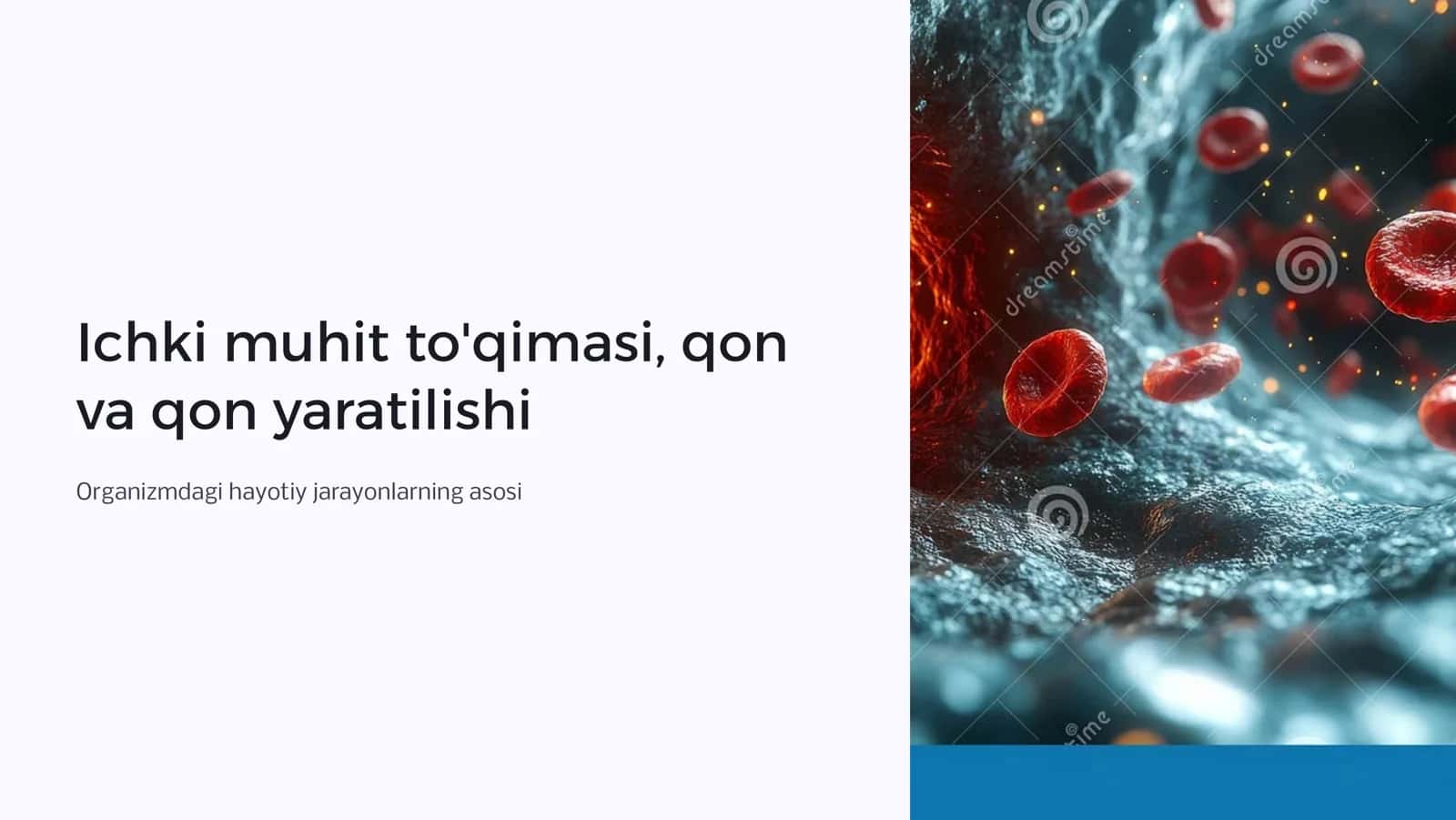 Ichki muhit to`qimasi.Qon.Qon yaratilishi. 1