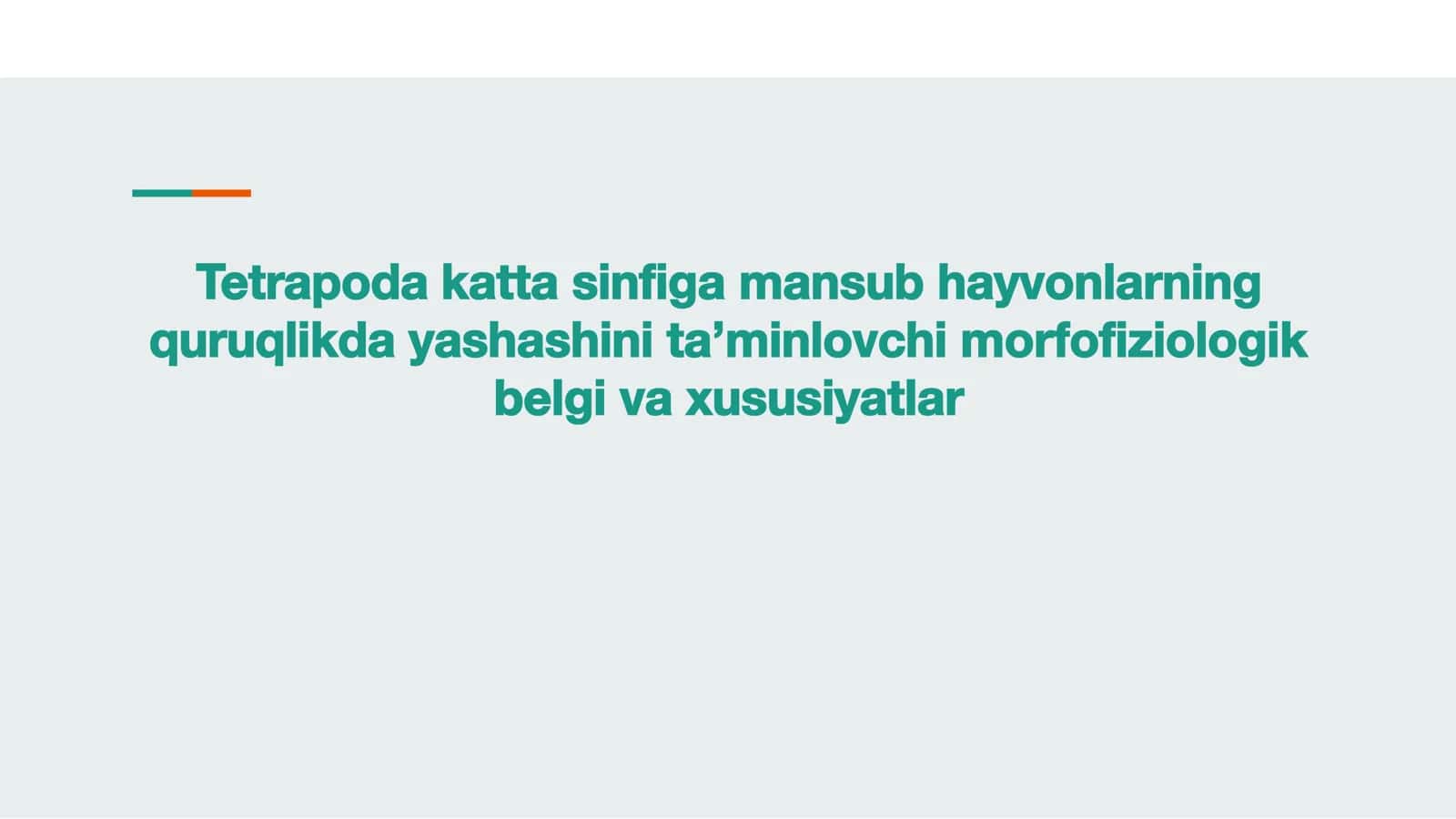 Tetrapoda katta sinﬁ 1