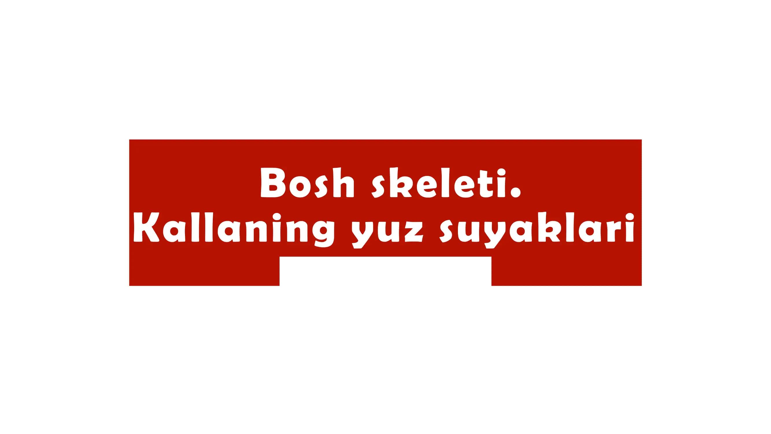 Yuqori jag‘ 1