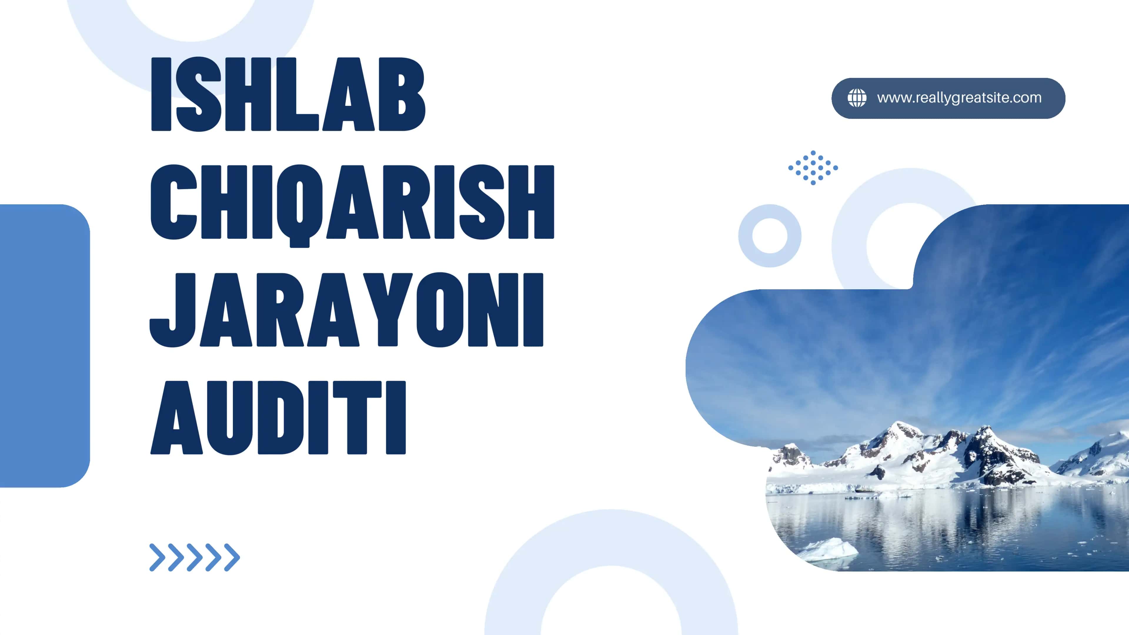 Ishlab chiqarish jarayoni auditi 1