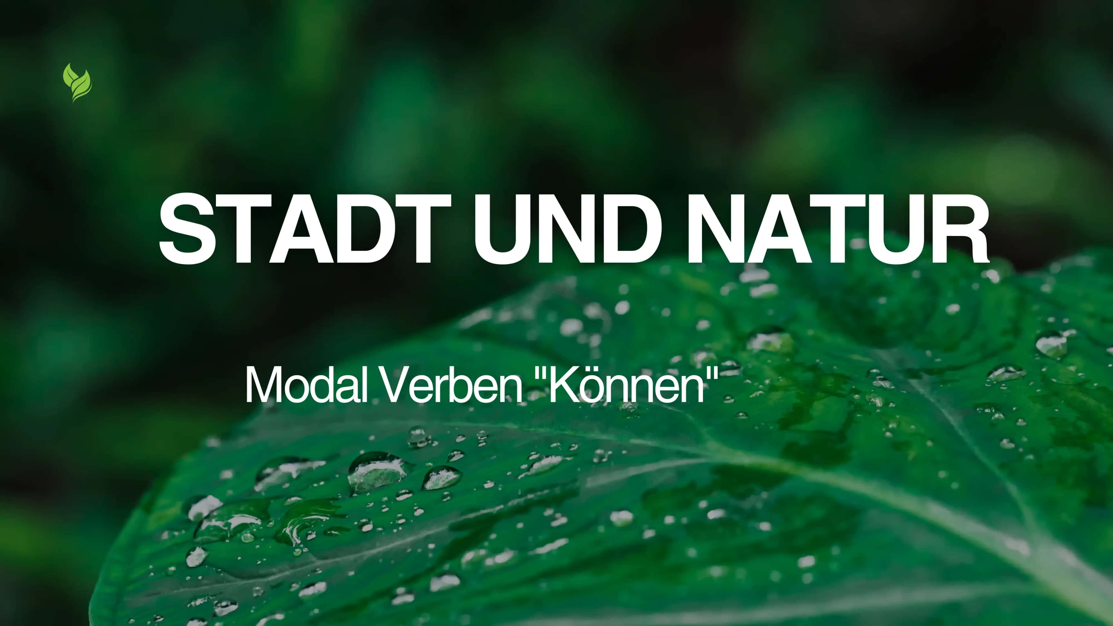 Modal Verben "Können" 1