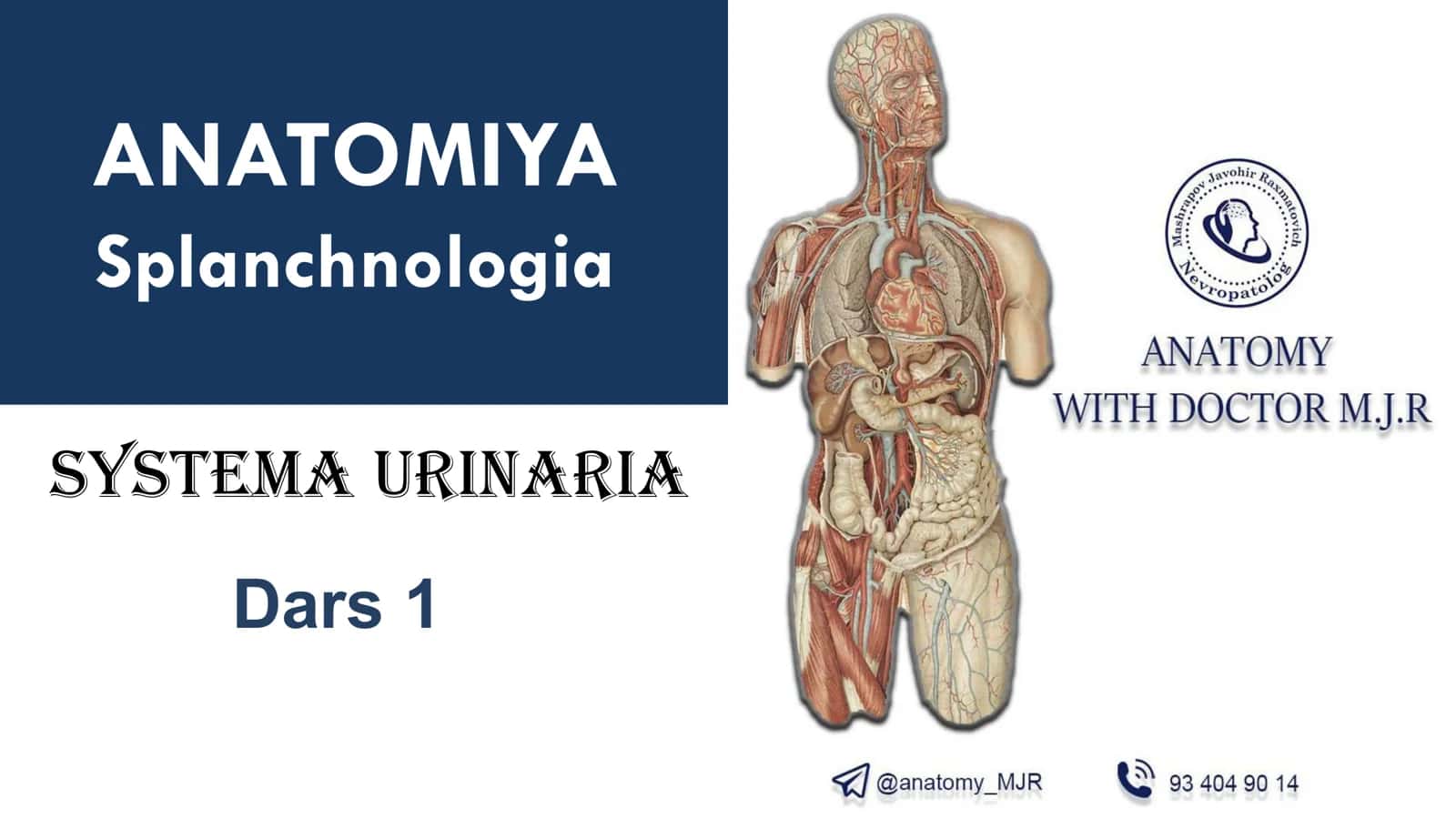 Ayirish Sistemasi Anatomiyasi 1
