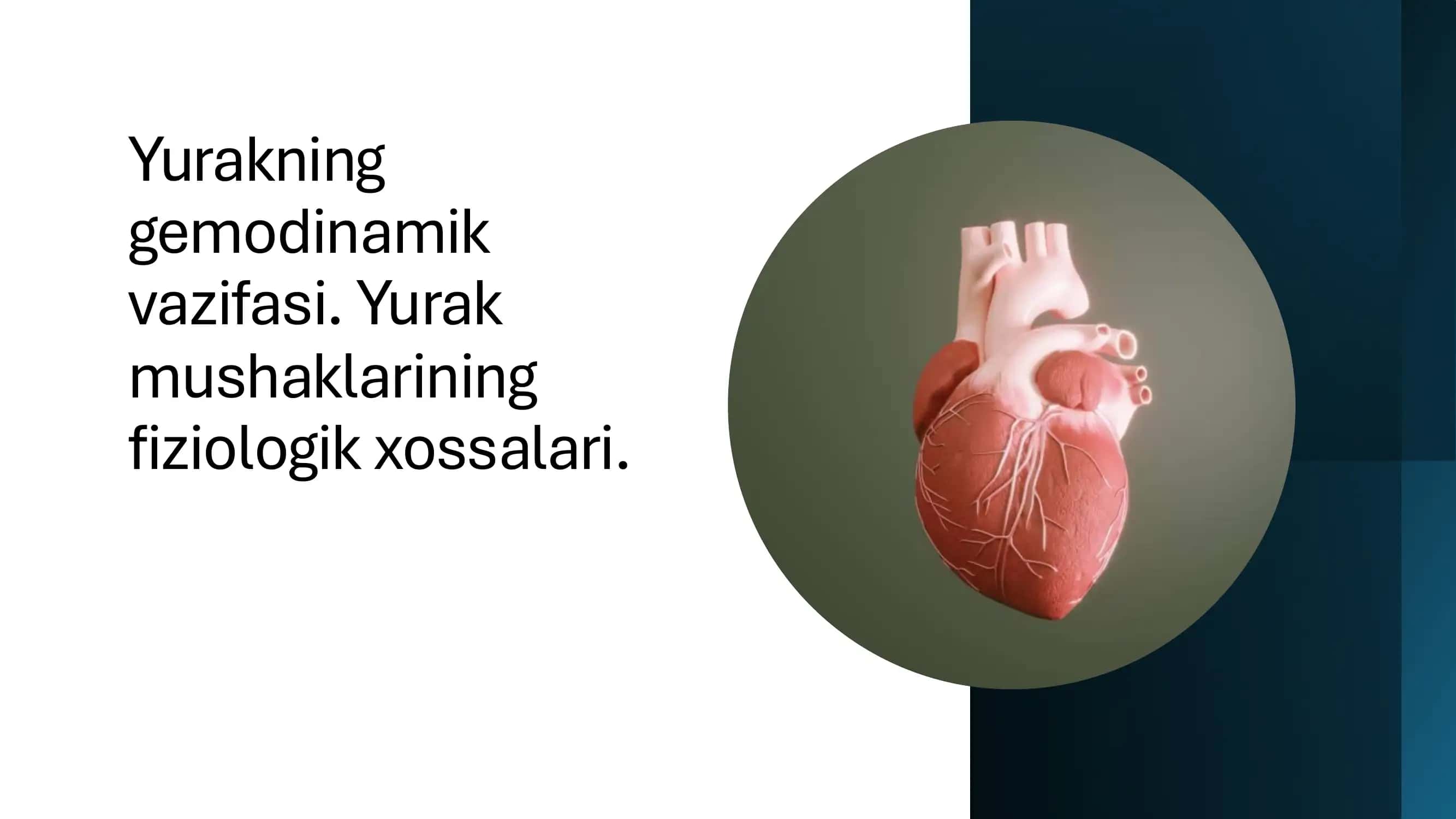 Yurakning gemodinamik vazifasi. Yurak mushaklarining fiziologik xossalari._ 1