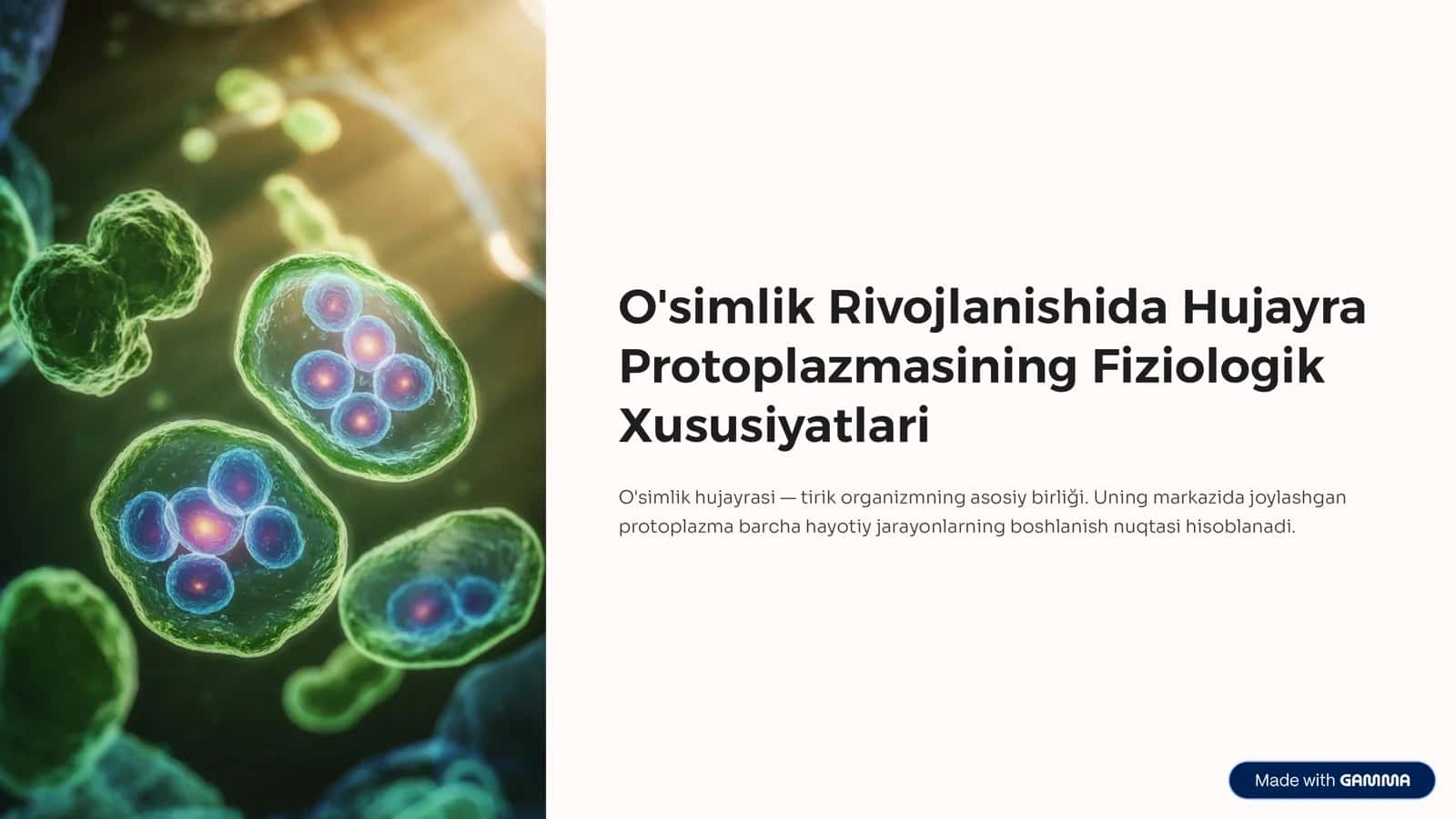 O'simlik Rivojlanishida Hujayra Protoplazmasining Fiziologik Xususiyatlari 1