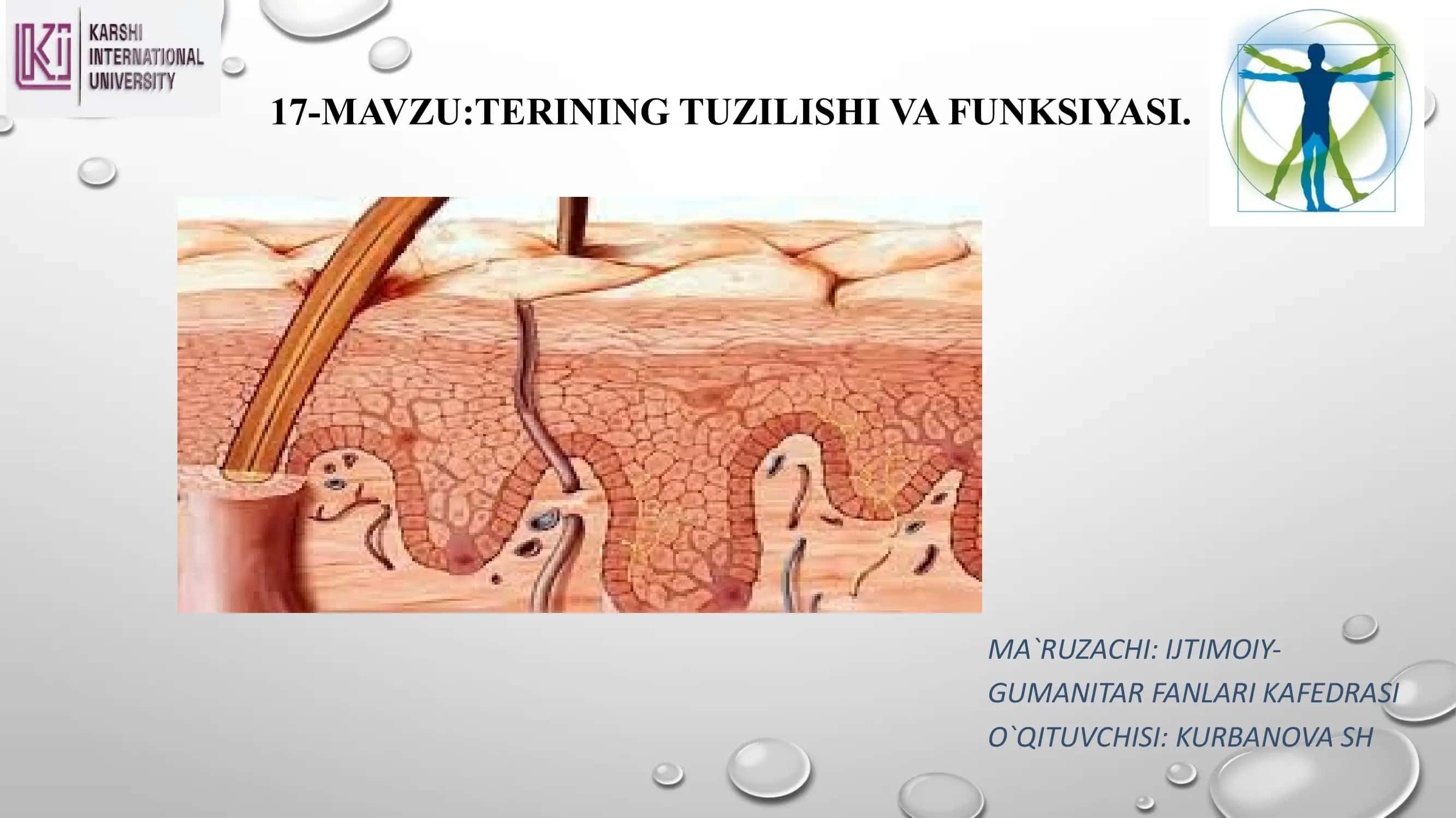 TERINING TUZILISHI VA FUNKSIYASI 1