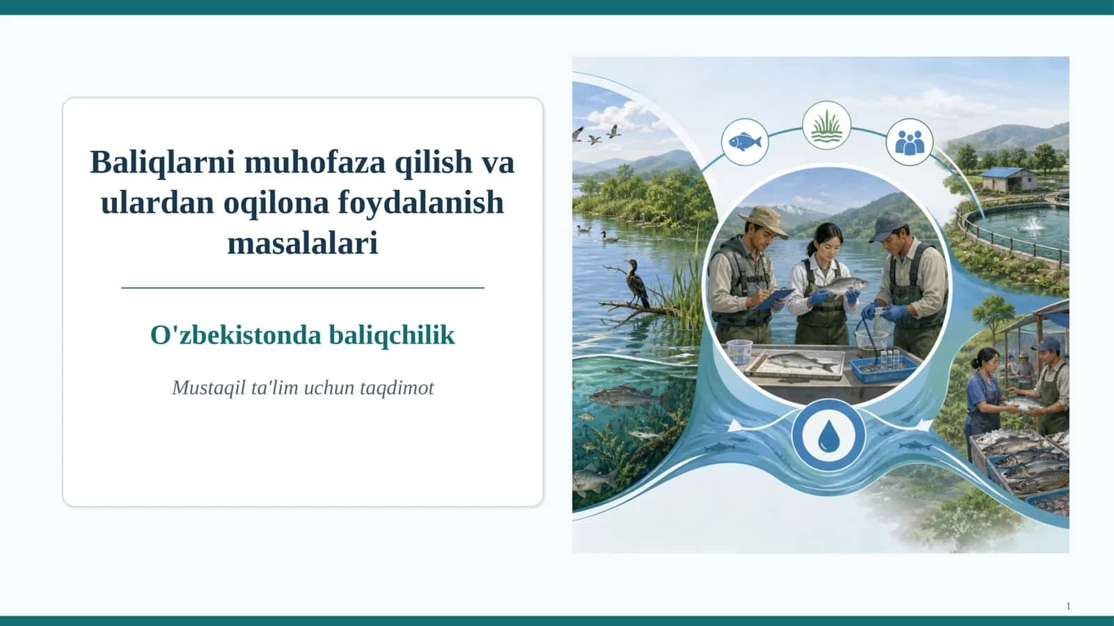 Baliqlarni muhofaza qilish va ulardan oqilona foydalanish masalalari 1