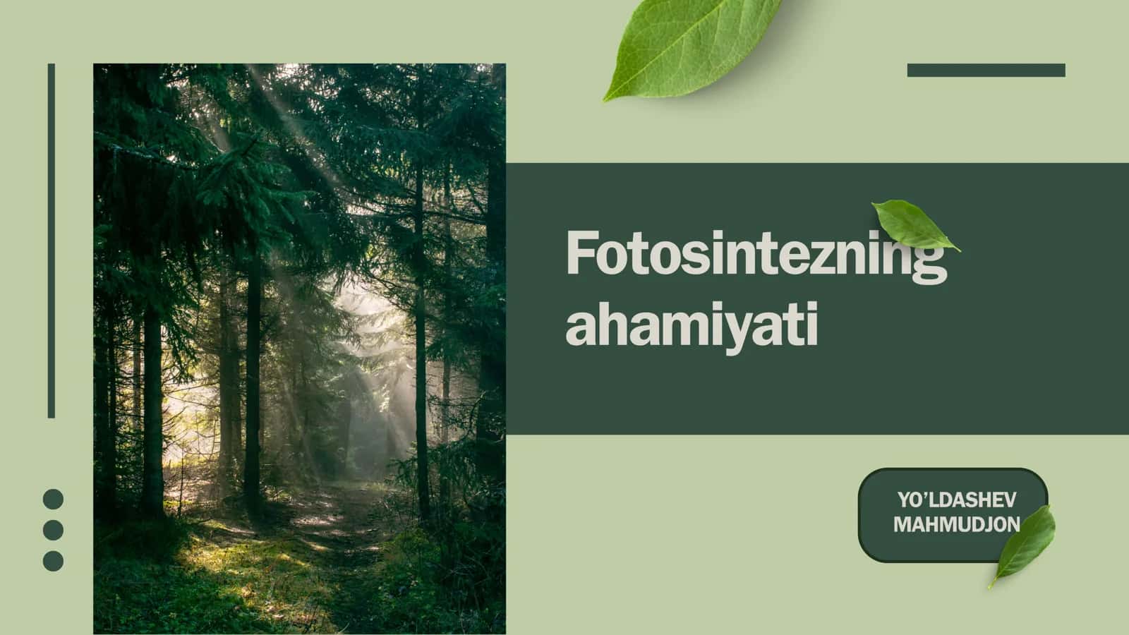 Fotosintezning ahamiyati 1