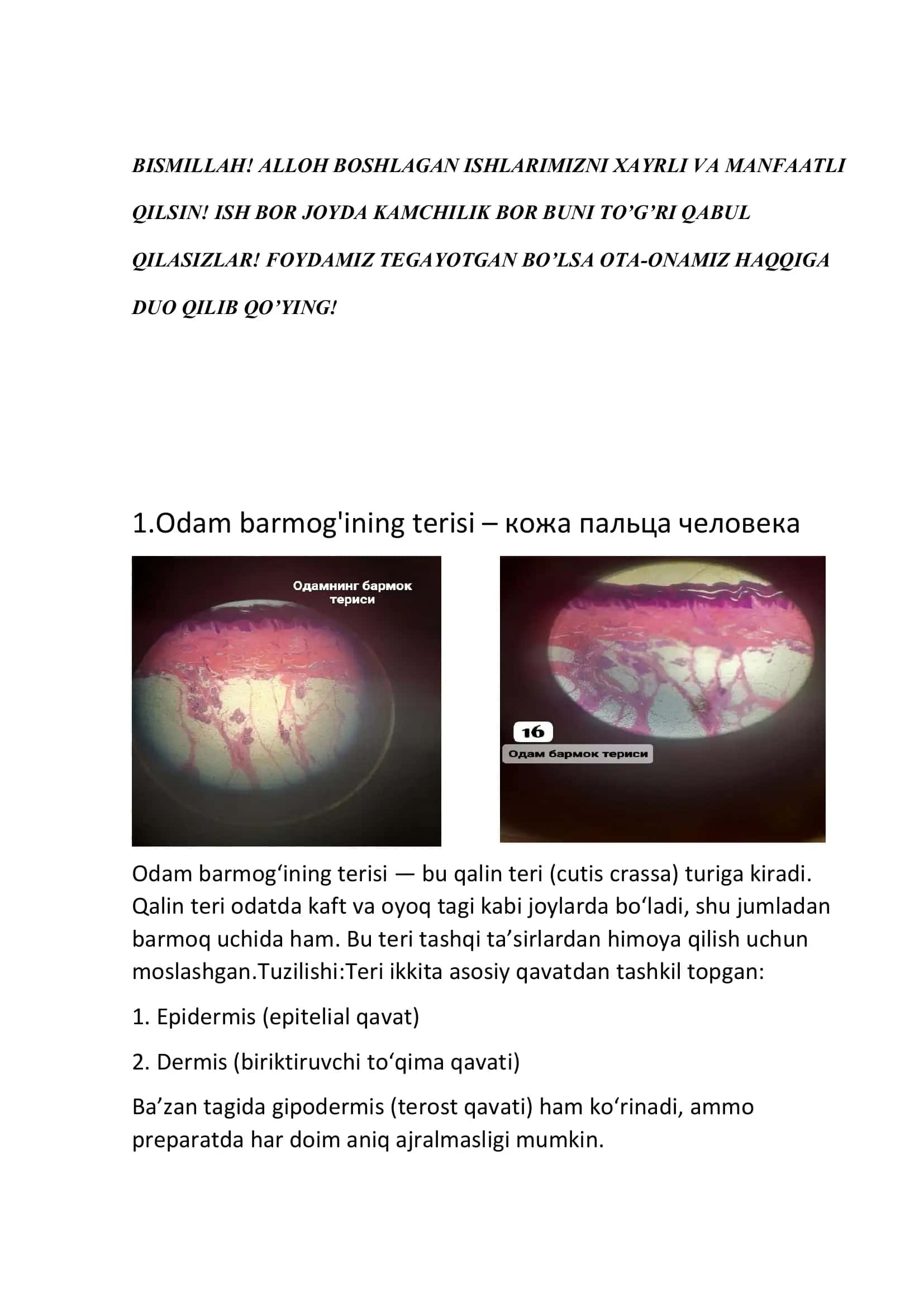 Odam barmog'ining terisi 1