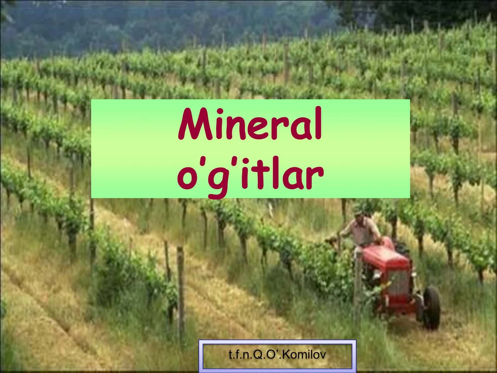 Mineral o’g’itlar 1