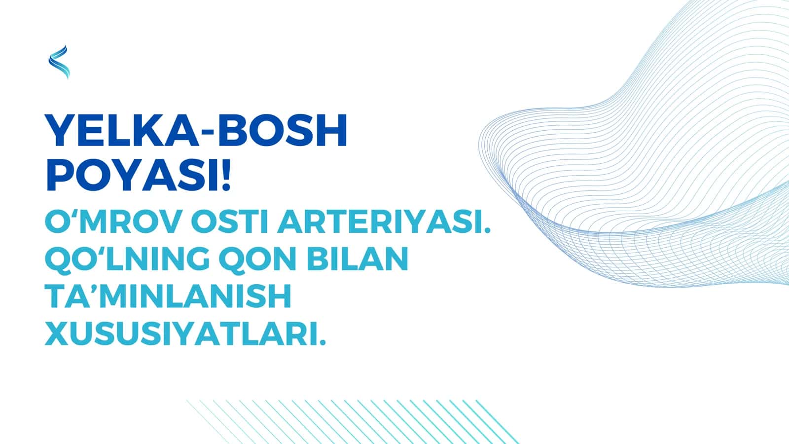 Yelka-bosh poyasi 1