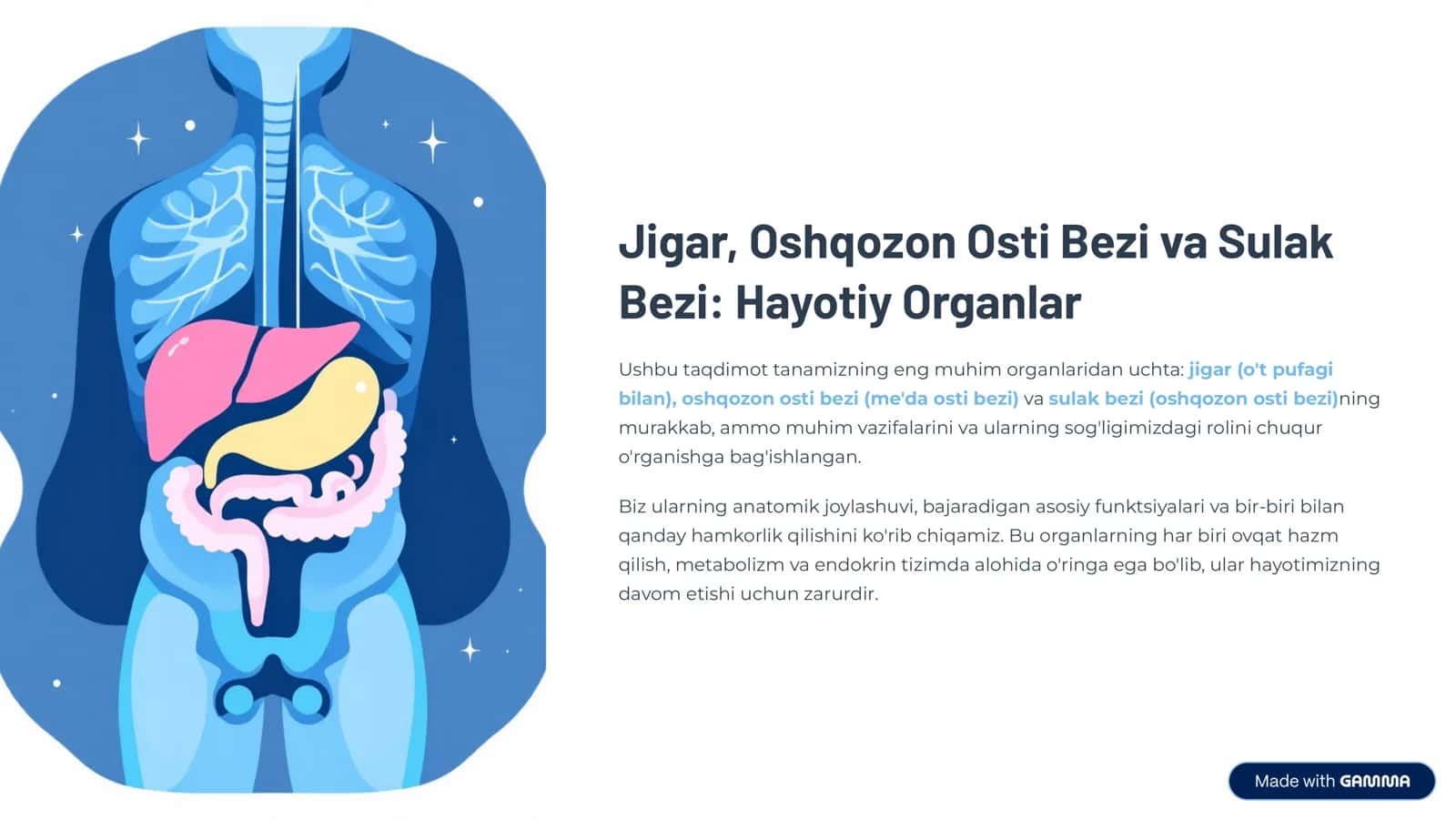 Jigar, Oshqozon Osti Bezi va Sulak Bezi: Hayotiy Organlar 1