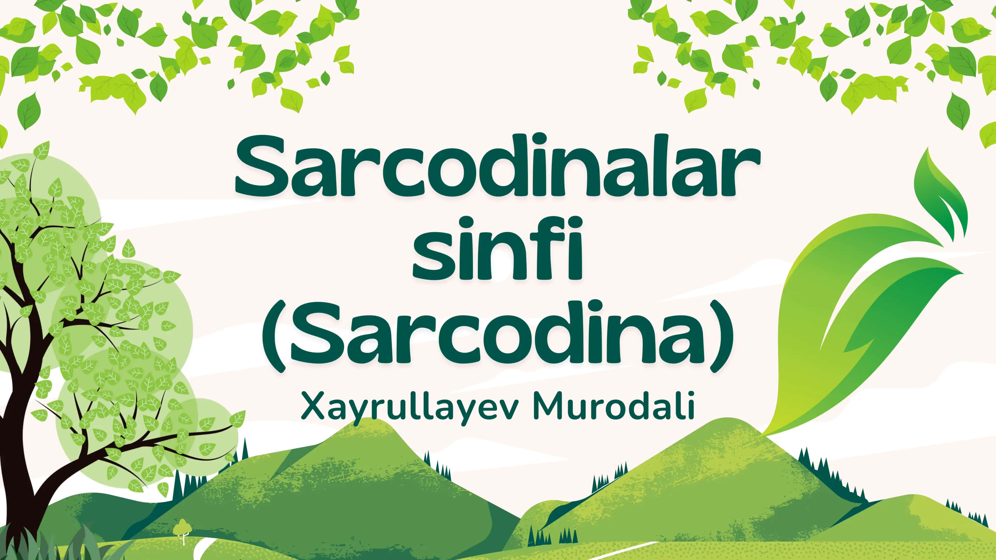 Soxta oyoqlilar 1