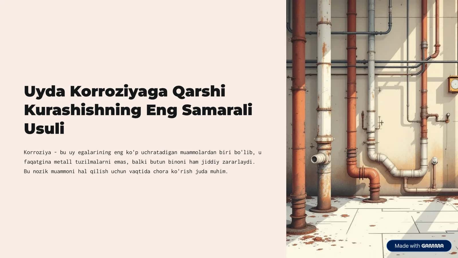 Uyda Korroziyaga Qarshi 1