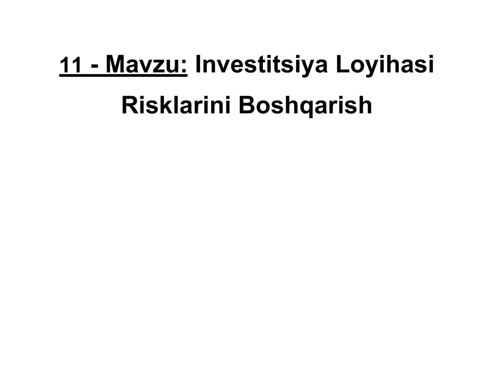 Investitsiya Loyihasi 1