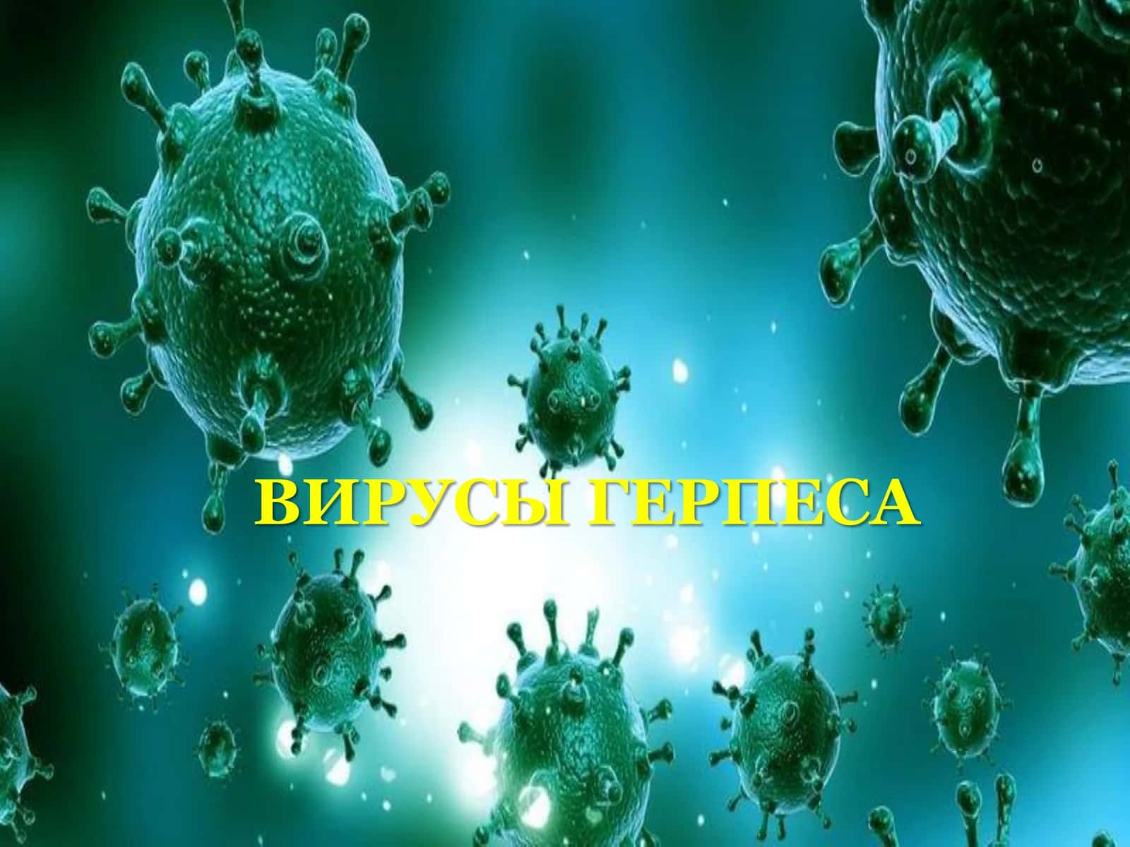 ВИРУСЫ ГЕРПЕСА 1