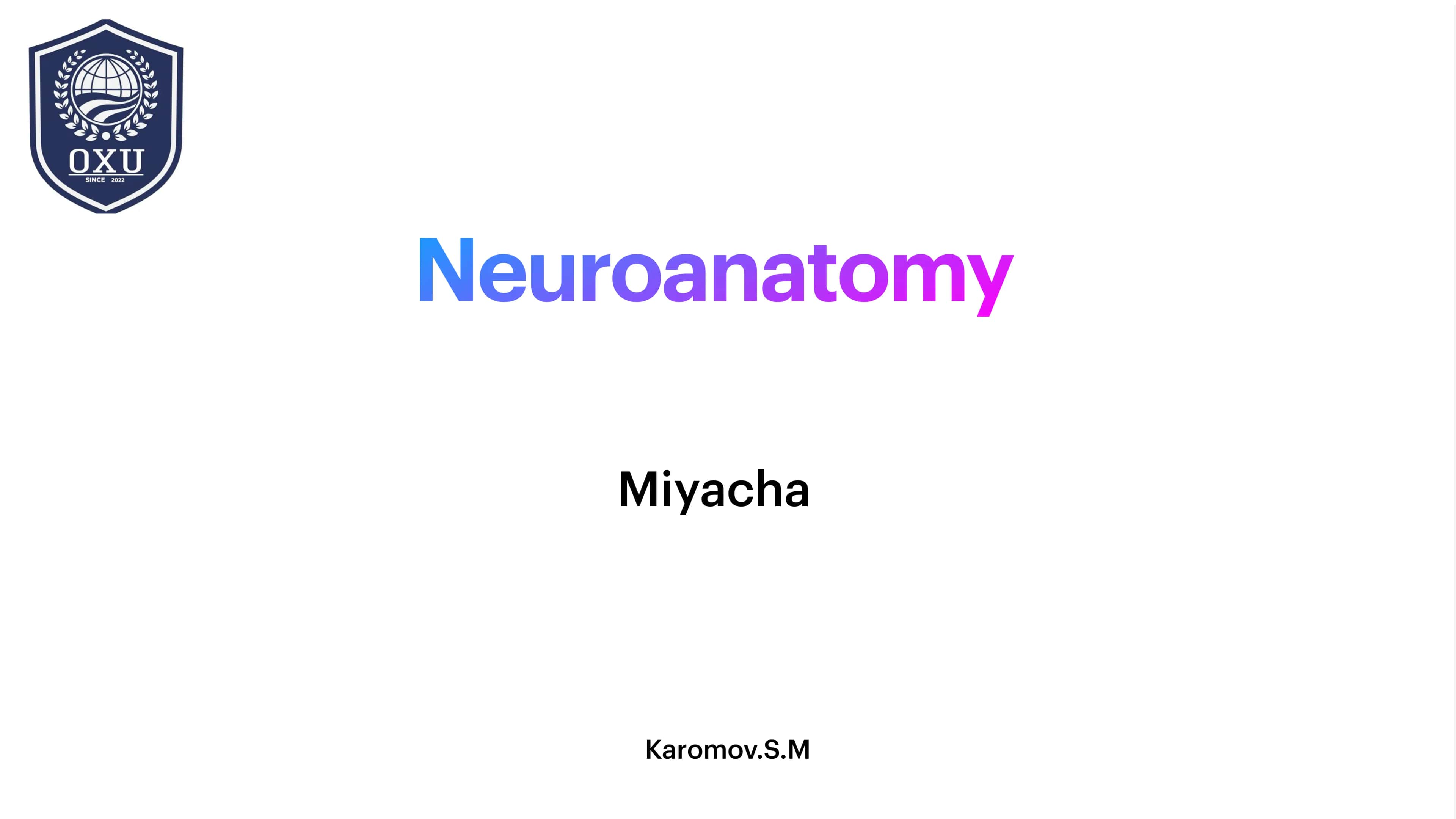 Neuroanatomy 1