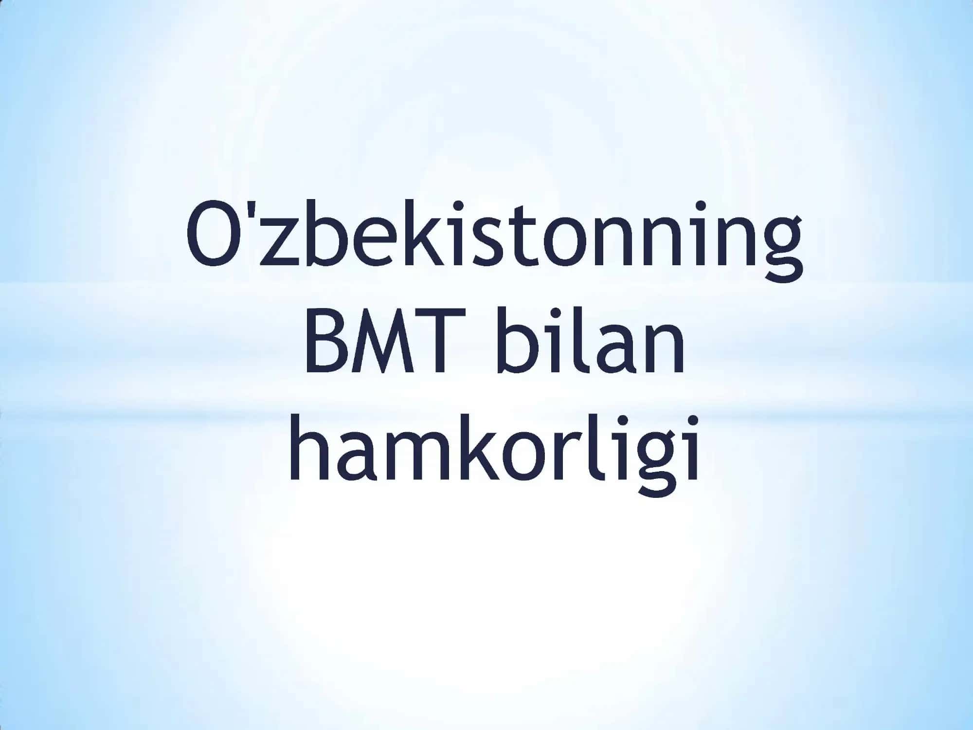Birlashgan millatlar tashkiloti (BMT) 1