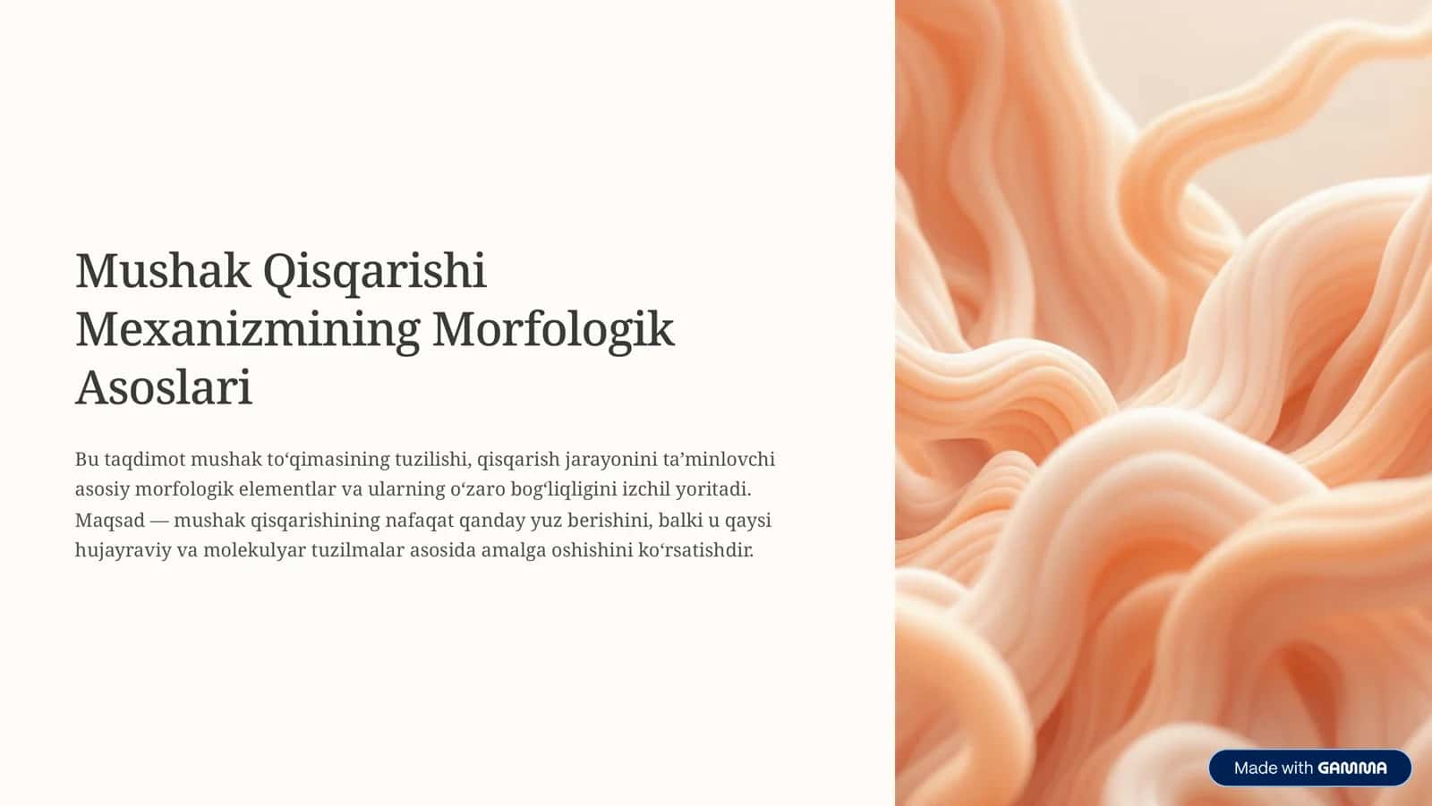 Qisqarishi 
Mexanizmining Morfologik 
Asoslari 1