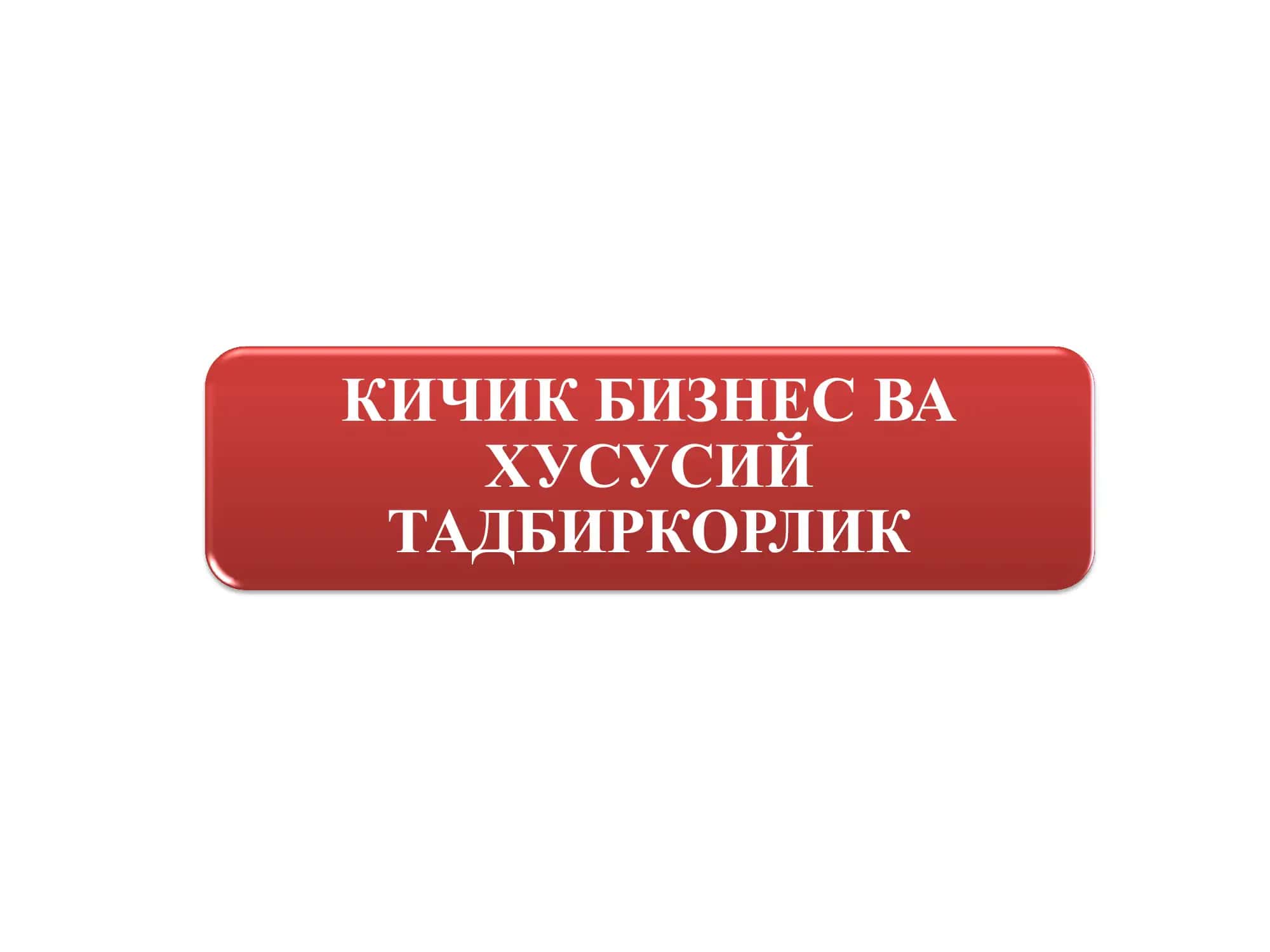 kichik biznes va xususiy tadbirkorlik 1