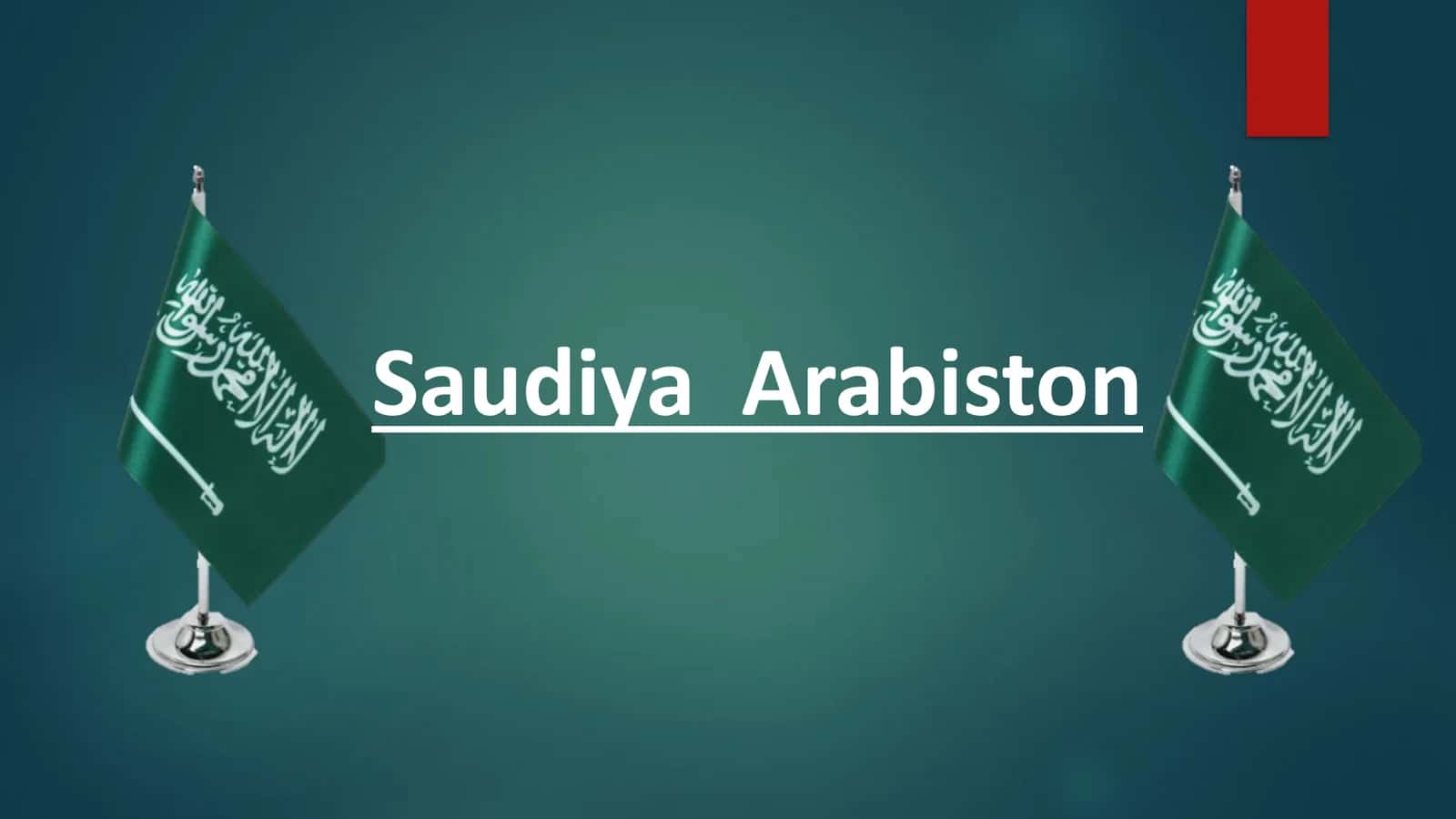 Saudiya Arabistoni davlat byudjeti tizimi 1