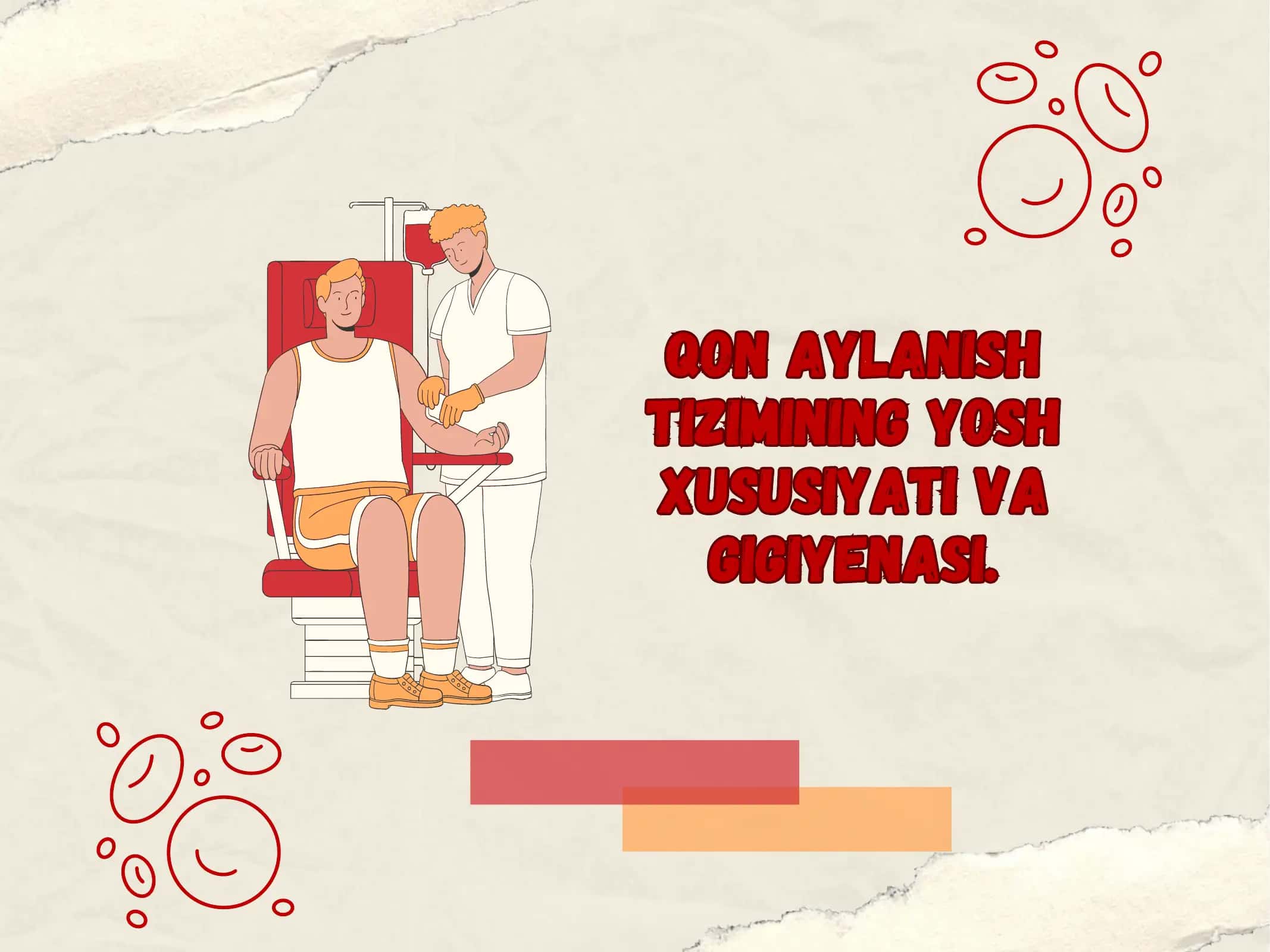Qon aylanish tizimining yosh xususiyati va gigiyenasi 1