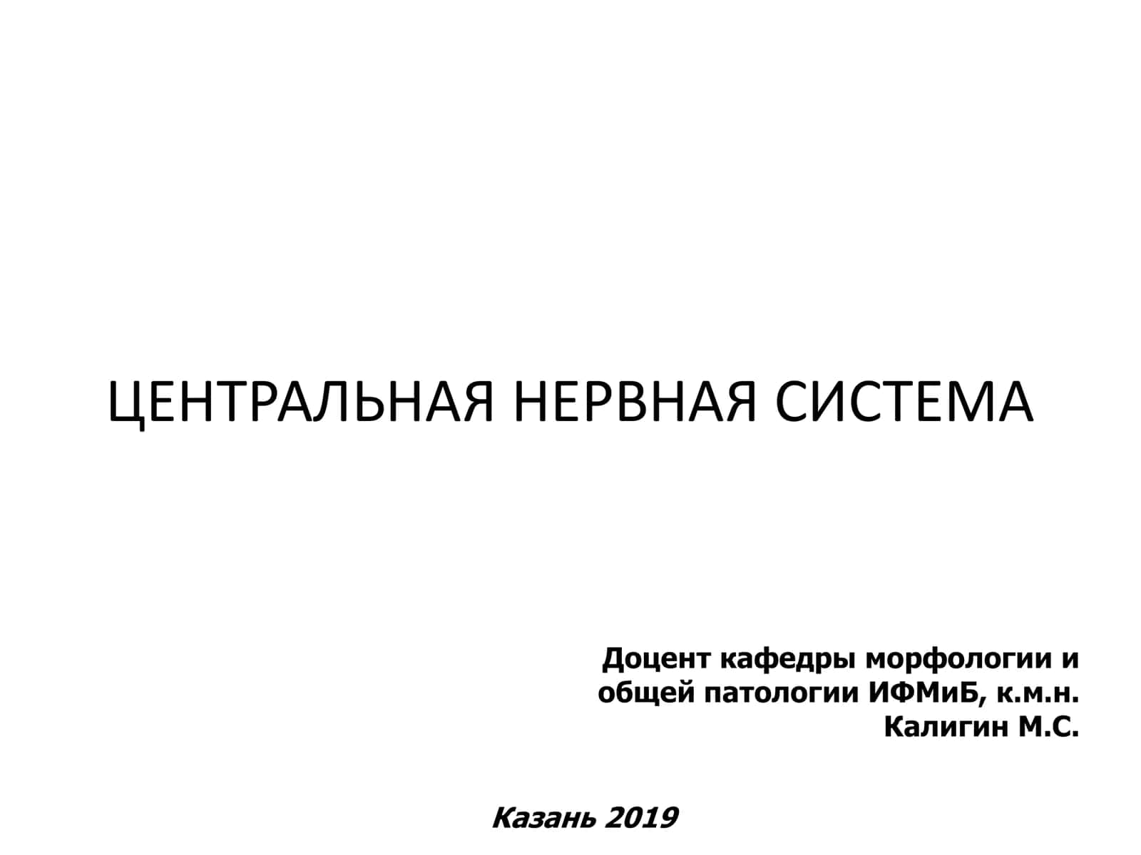 Центральная Нервная Система 1