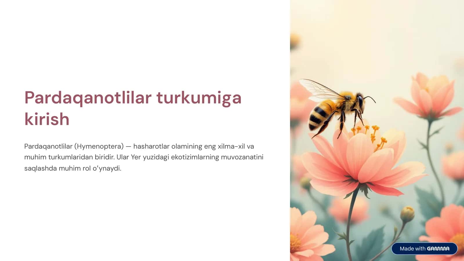 Pardaqanotlilar turkumiga kirish 1