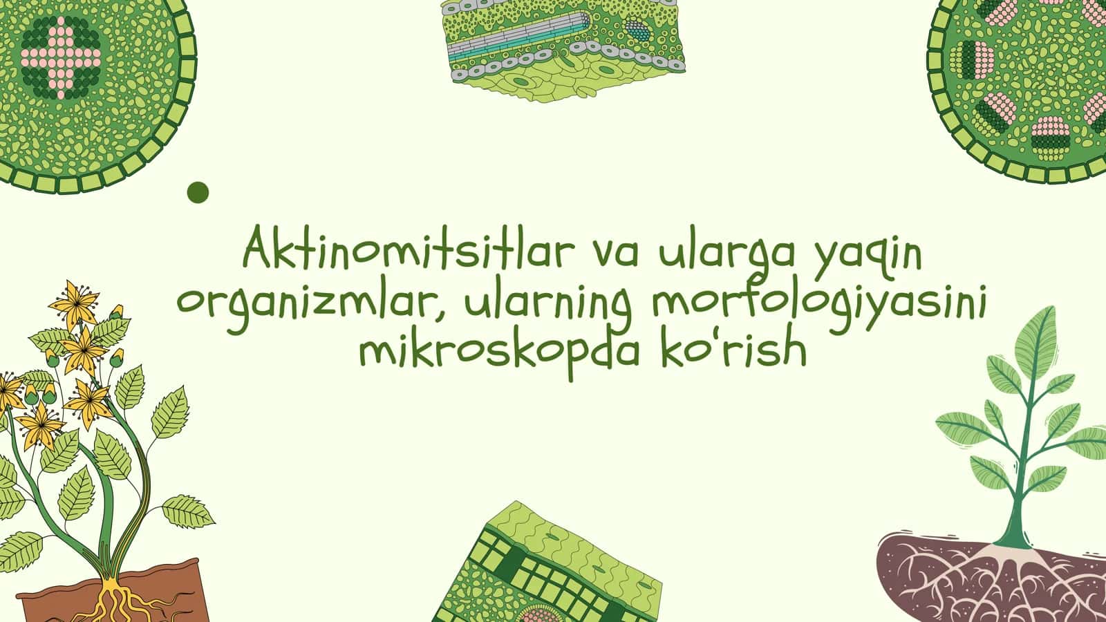 Aktinomitsitlar va ularga yaqin organizmlar 1