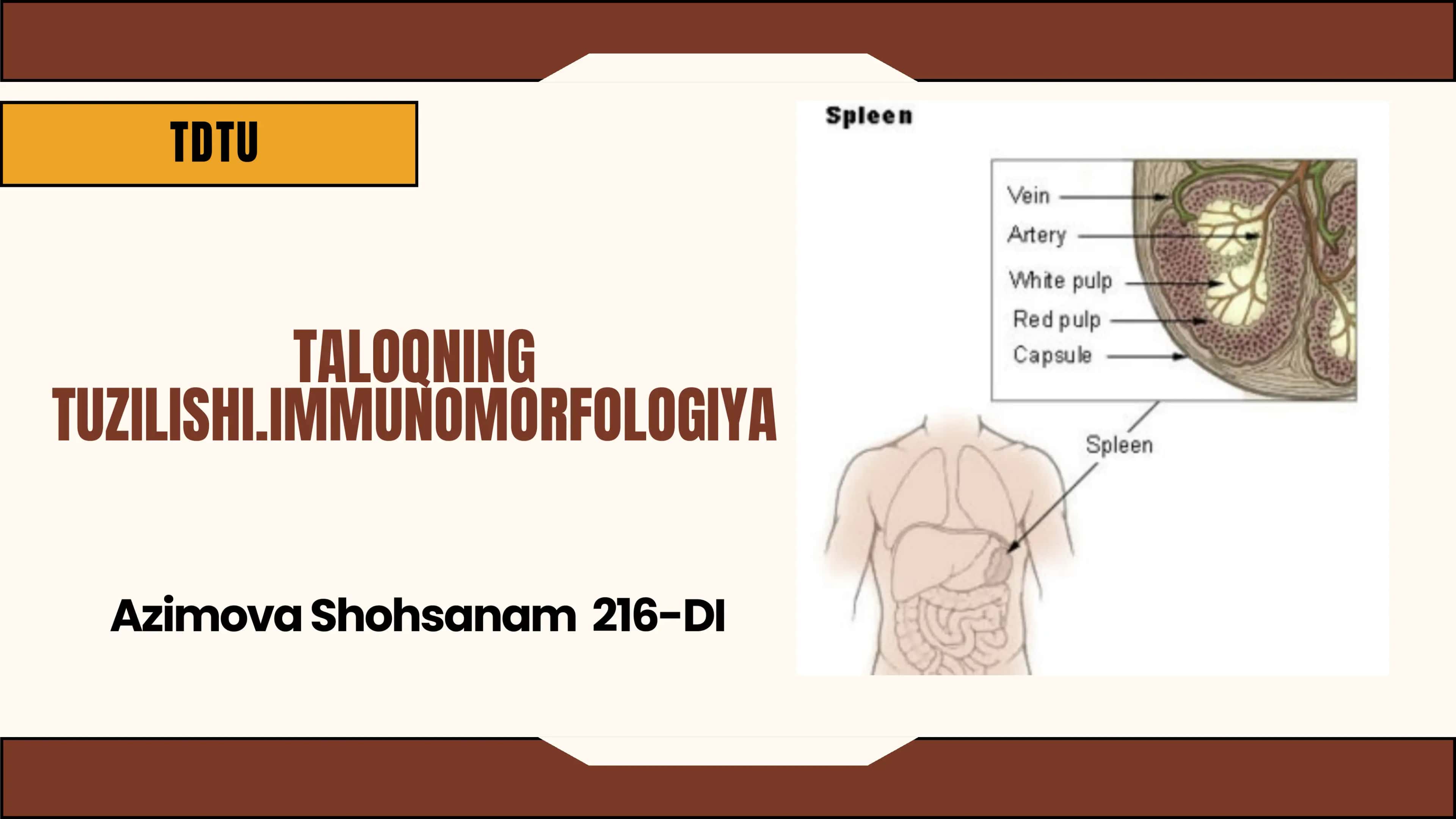 TALOQNING TUZILISHI.IMMUNOMORFOLOGIYA 1