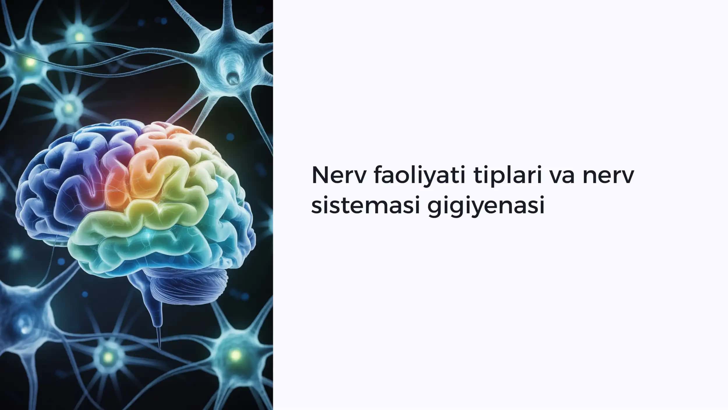 Nerv faoliyati tiplari va nerv sistemasi gigiyenasi 1