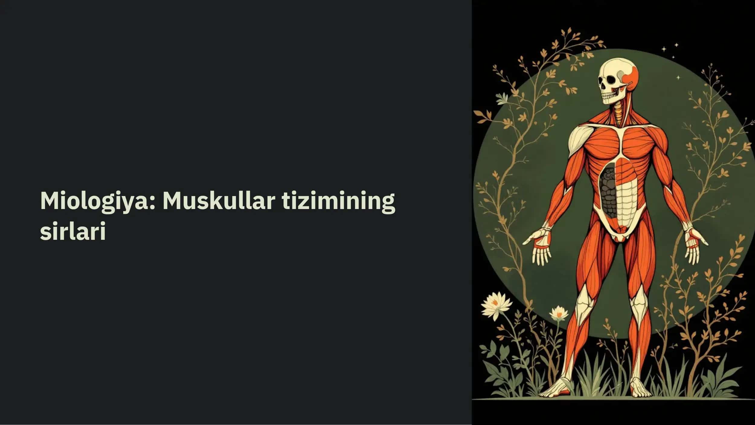Miologiya: Muskullar tizimi 1