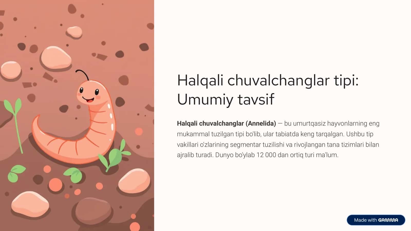 Halqali chuvalchanglar tipi 1