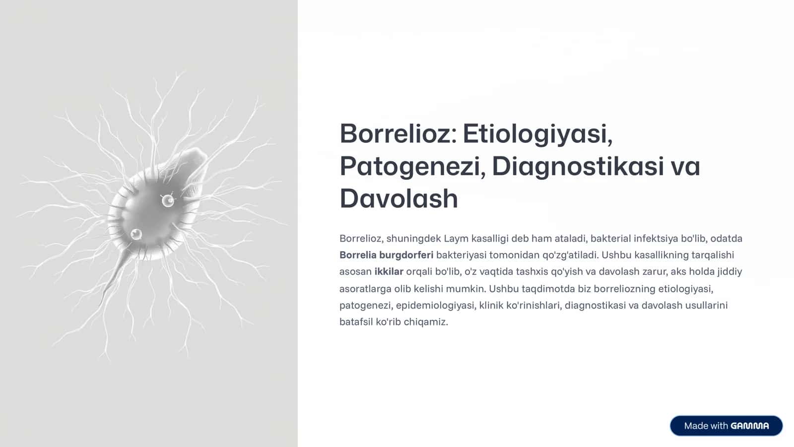 Borrelioz: Etiologiyasi, Patogenezi, Diagnostikasi va Davolash 1