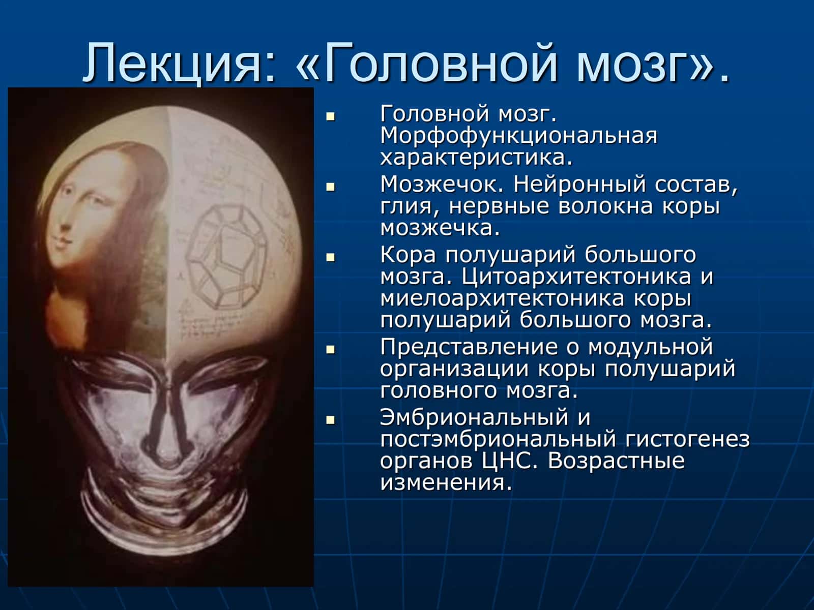 Головной мозг 1
