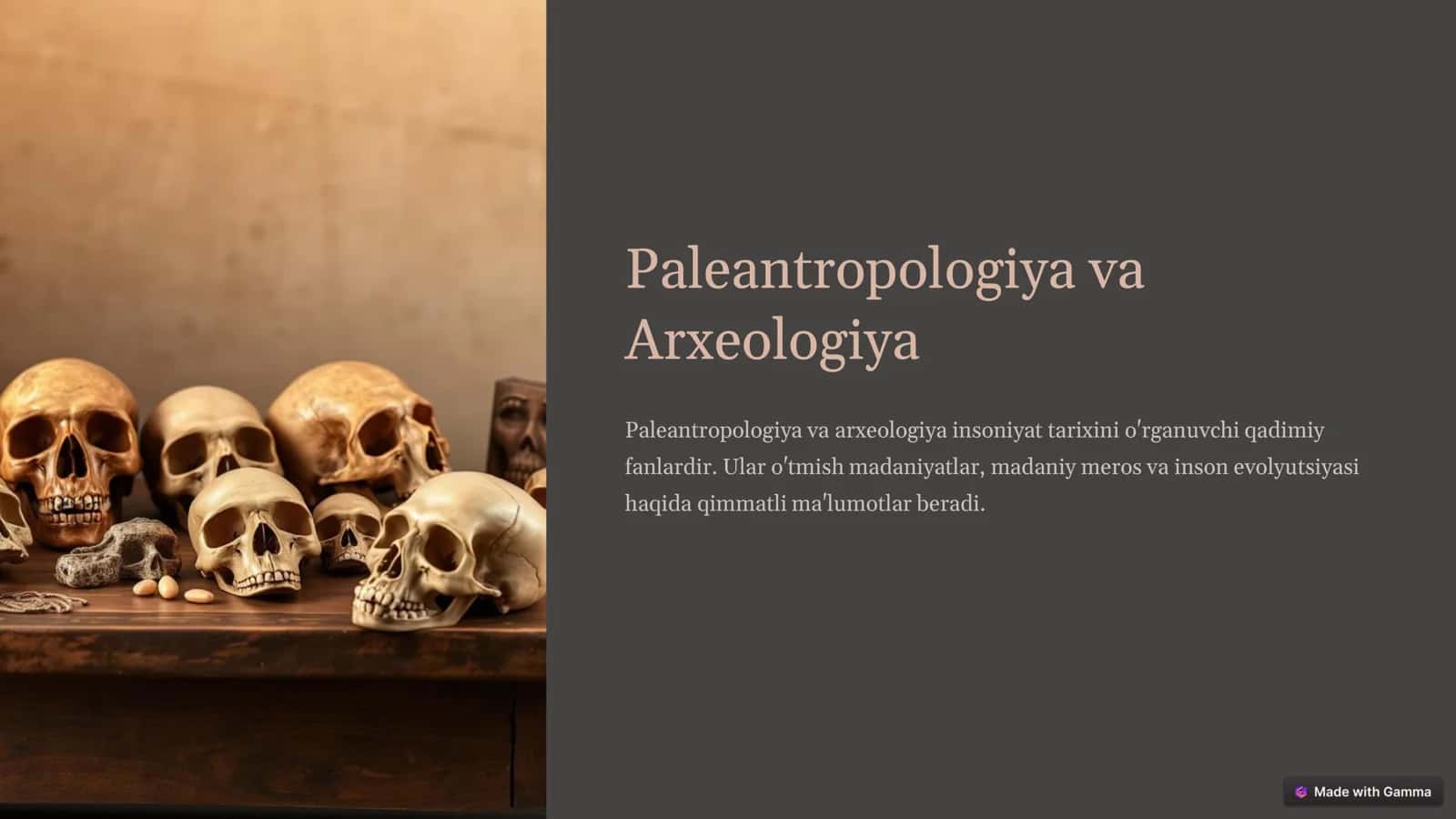Paleantropologiya va Arxeologiya 1