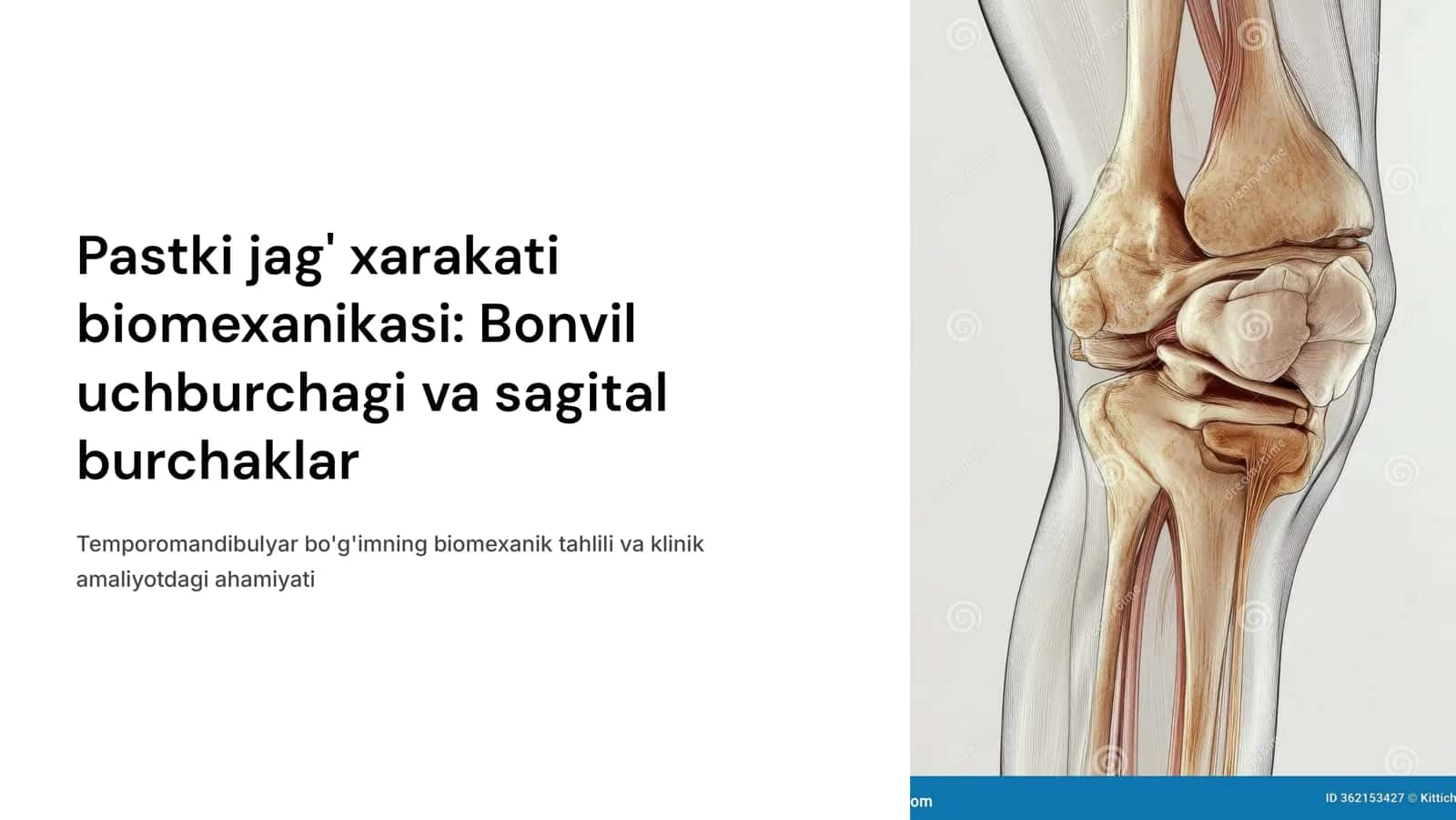 Pastki jag‘ xarakati biomexanikasi.Bonvil uchburchagi,sagital kesuv yo‘li burchagi,sagital bo‘g‘im yo‘li burchagi. 1