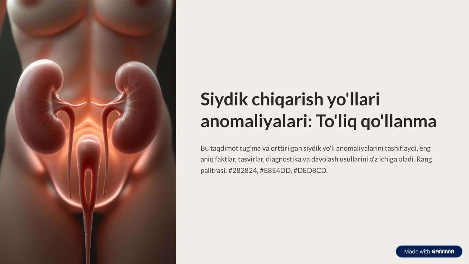 Siydik chiqarish yo'llari anomaliyalari: To'liq qo'llanma 1