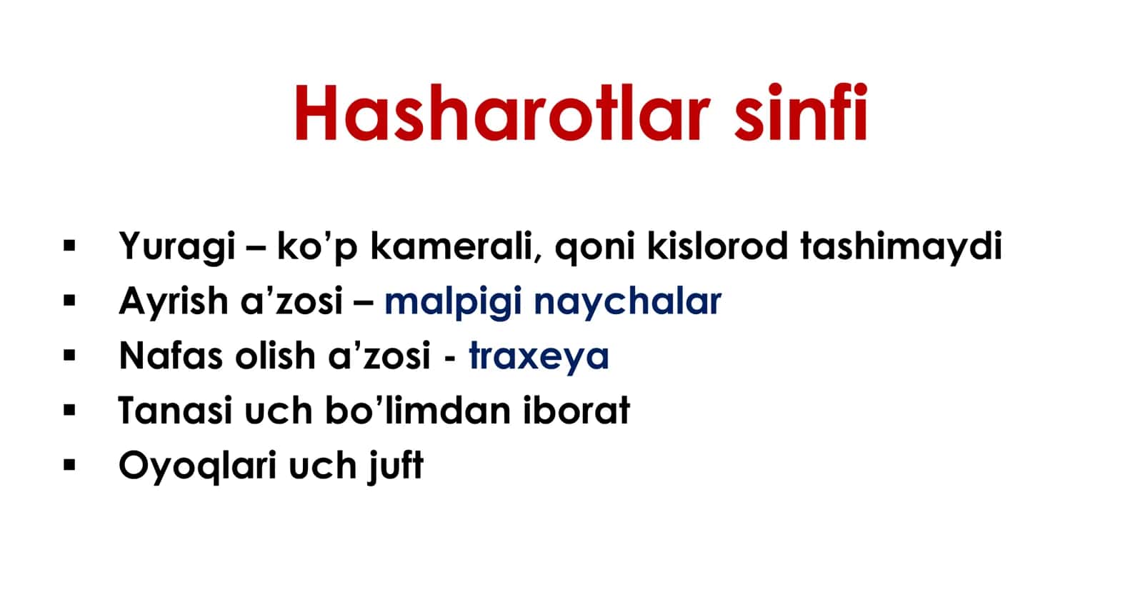 Hasharotlar sinfi 2