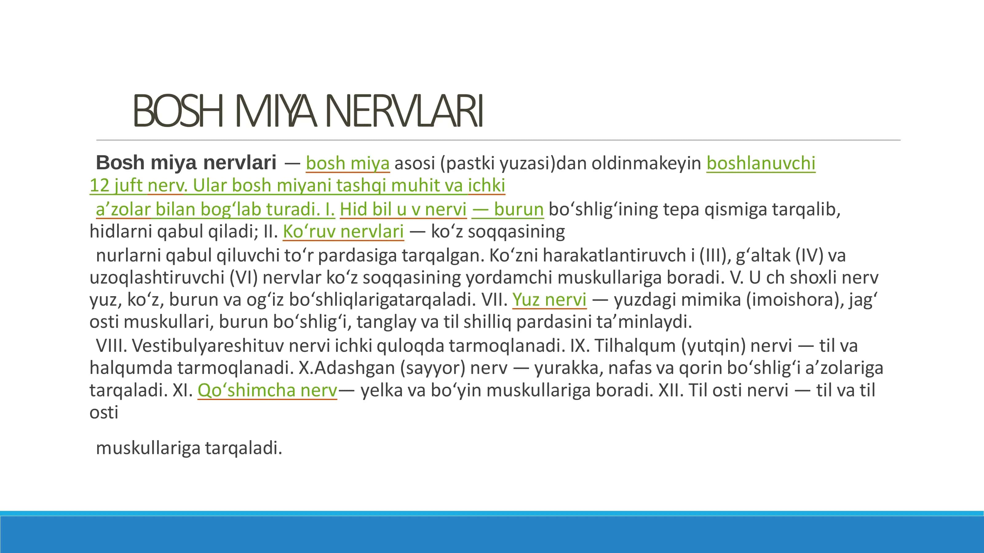 Bosh miyanervlari 2