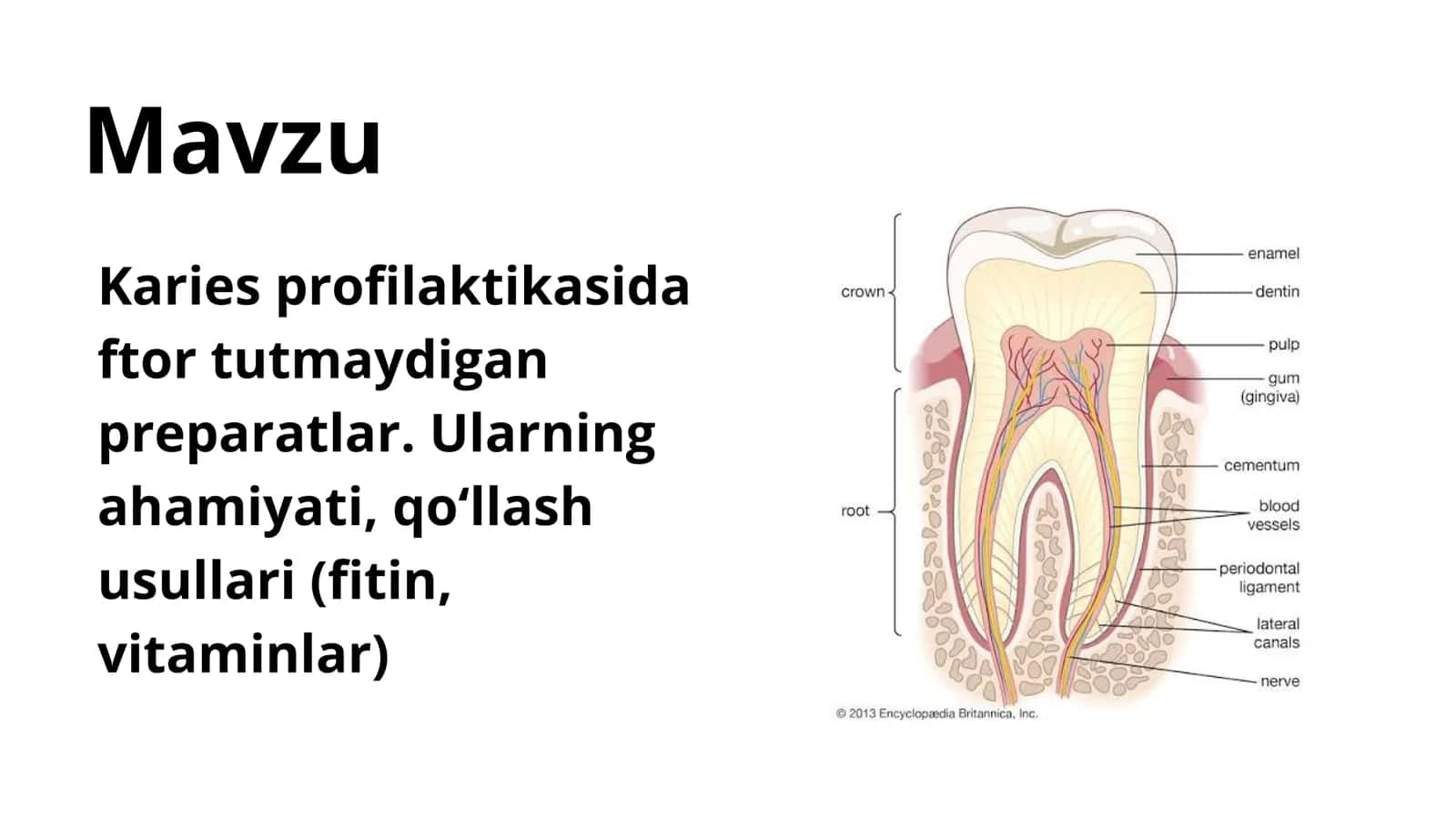 Karies profilaktikasida ftor tutmaydigan preparatlar. 2