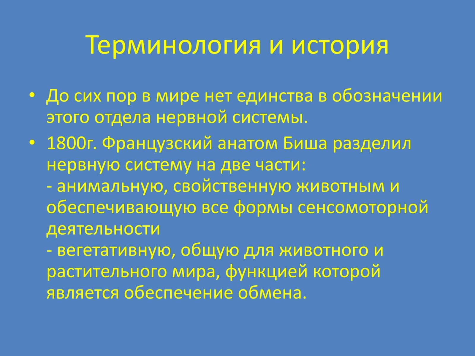 Вегетативная нервная система 2