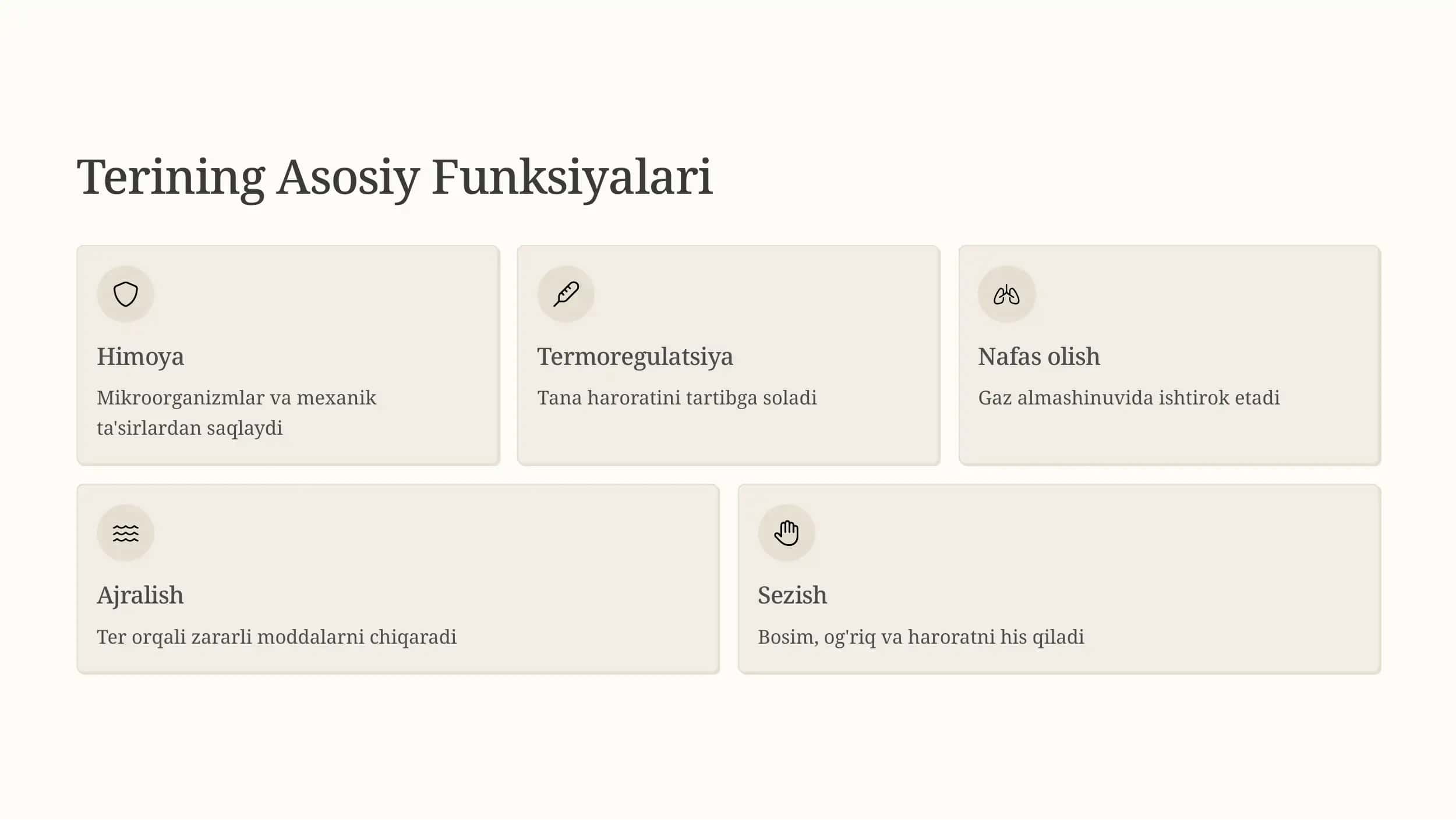 Teri: Tananing Himoyachi Qobig'i 2