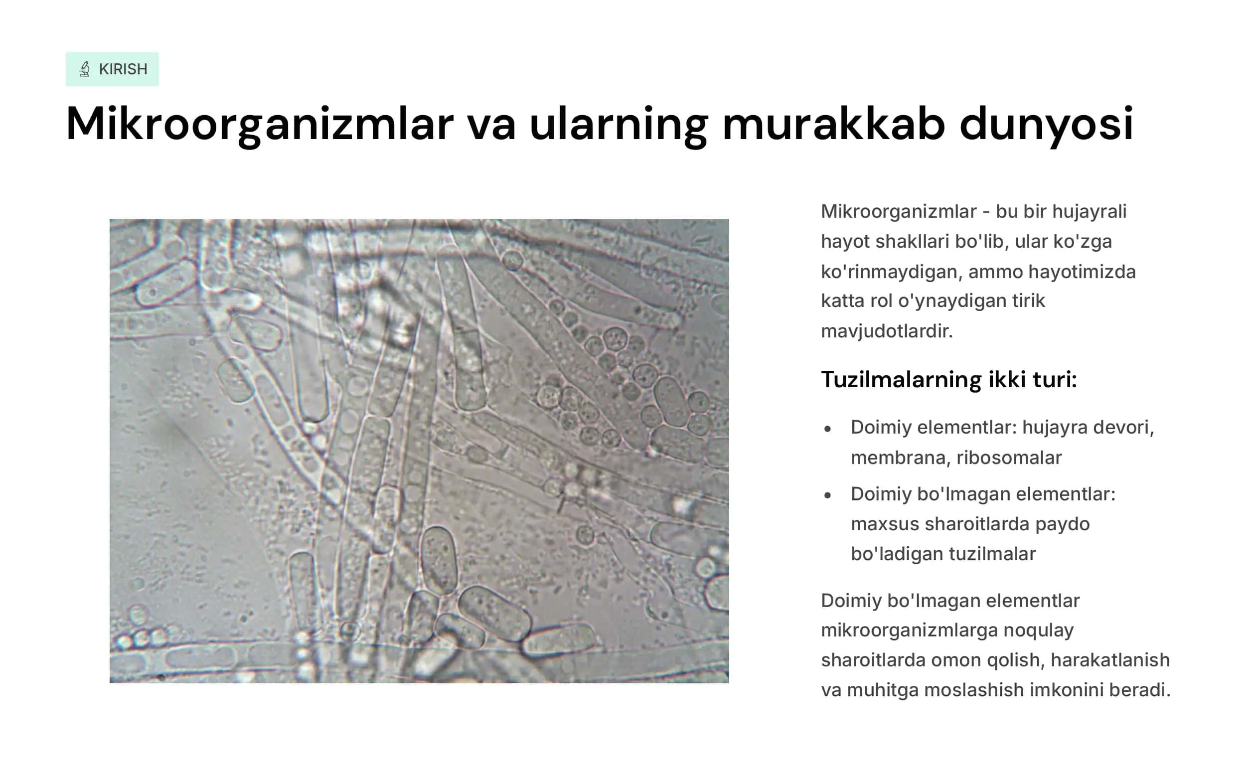 Mikroorganizmlarni doimiy  boʻlmagan  struktura  elementlari:spora,  kapsula,  xivchinlar, kiritmalar va  boshq. 2