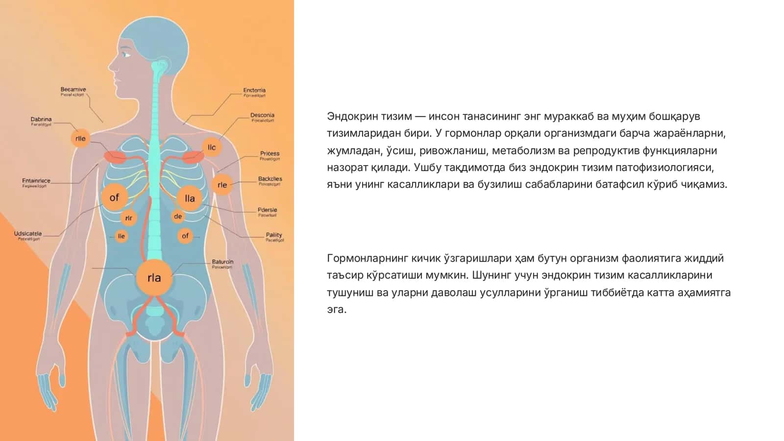 Эндокрин тизим патофизиологиясига кириш 2