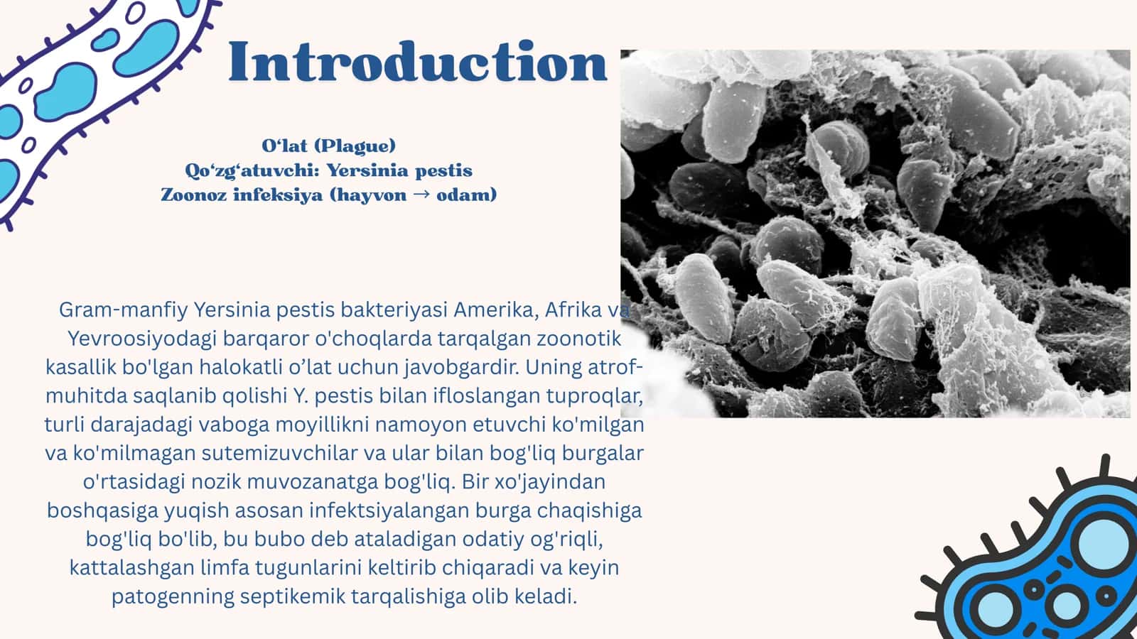 yersinia pestis 2