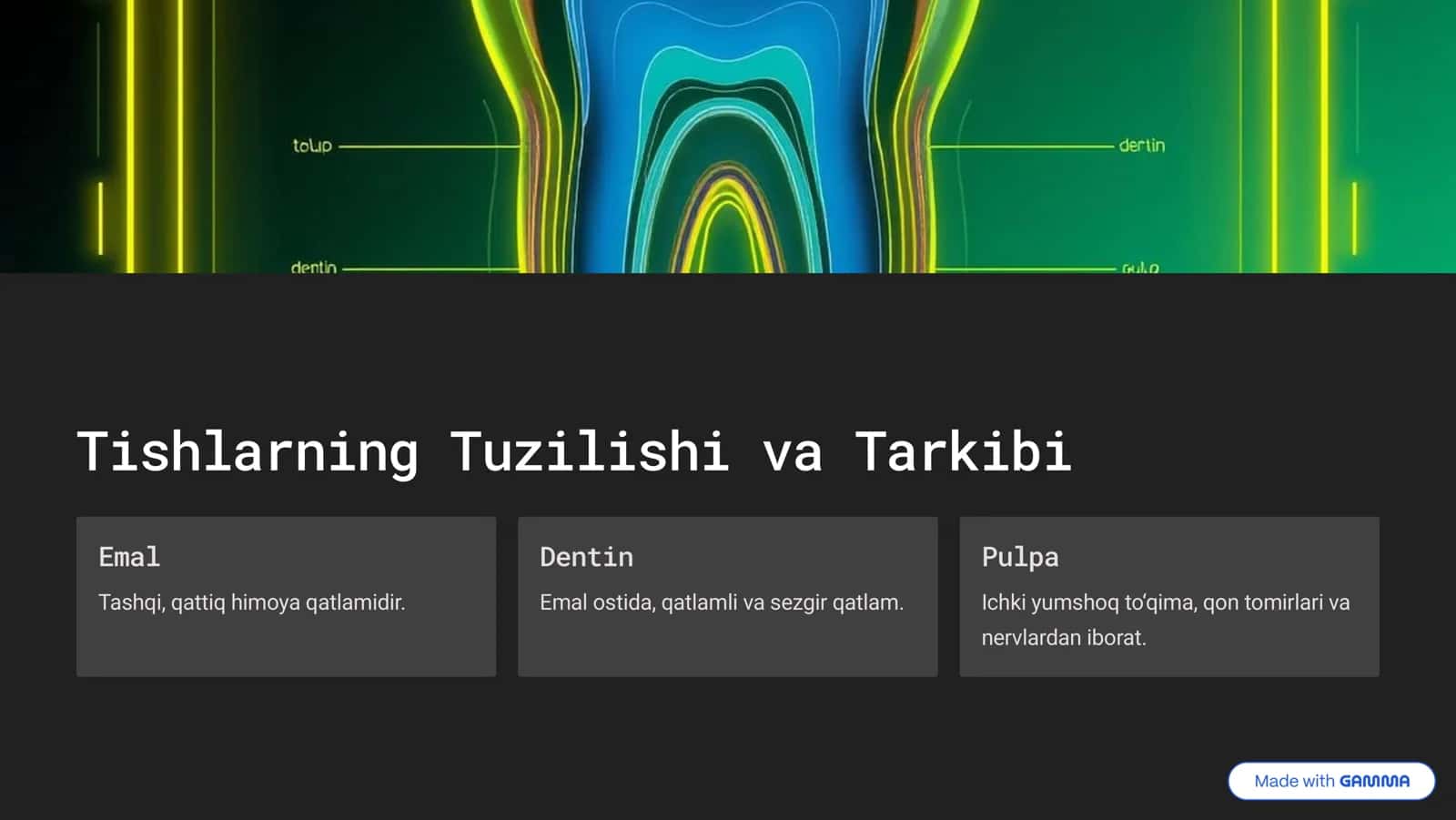 Tish Fiziologiyasi 2