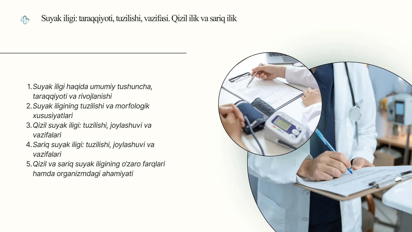 Suyak iligi: taraqqiyoti, tuzilishi, vazifasi. Qizil ilik va sariq ilik 2